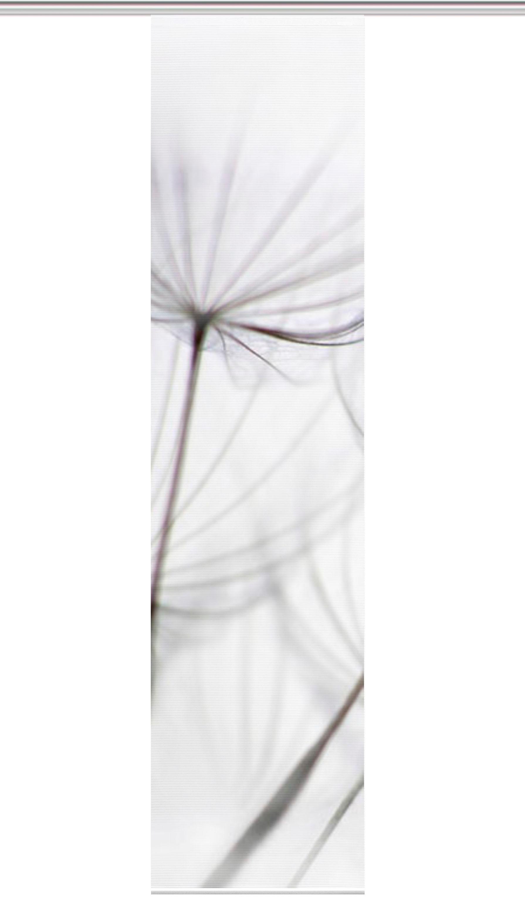 Bambus-Optik 260x60, Vision Digitaldruck links«, Schiebevorhang kaufen Schiebegardine (1 online St.), »STRELIA HxB: S