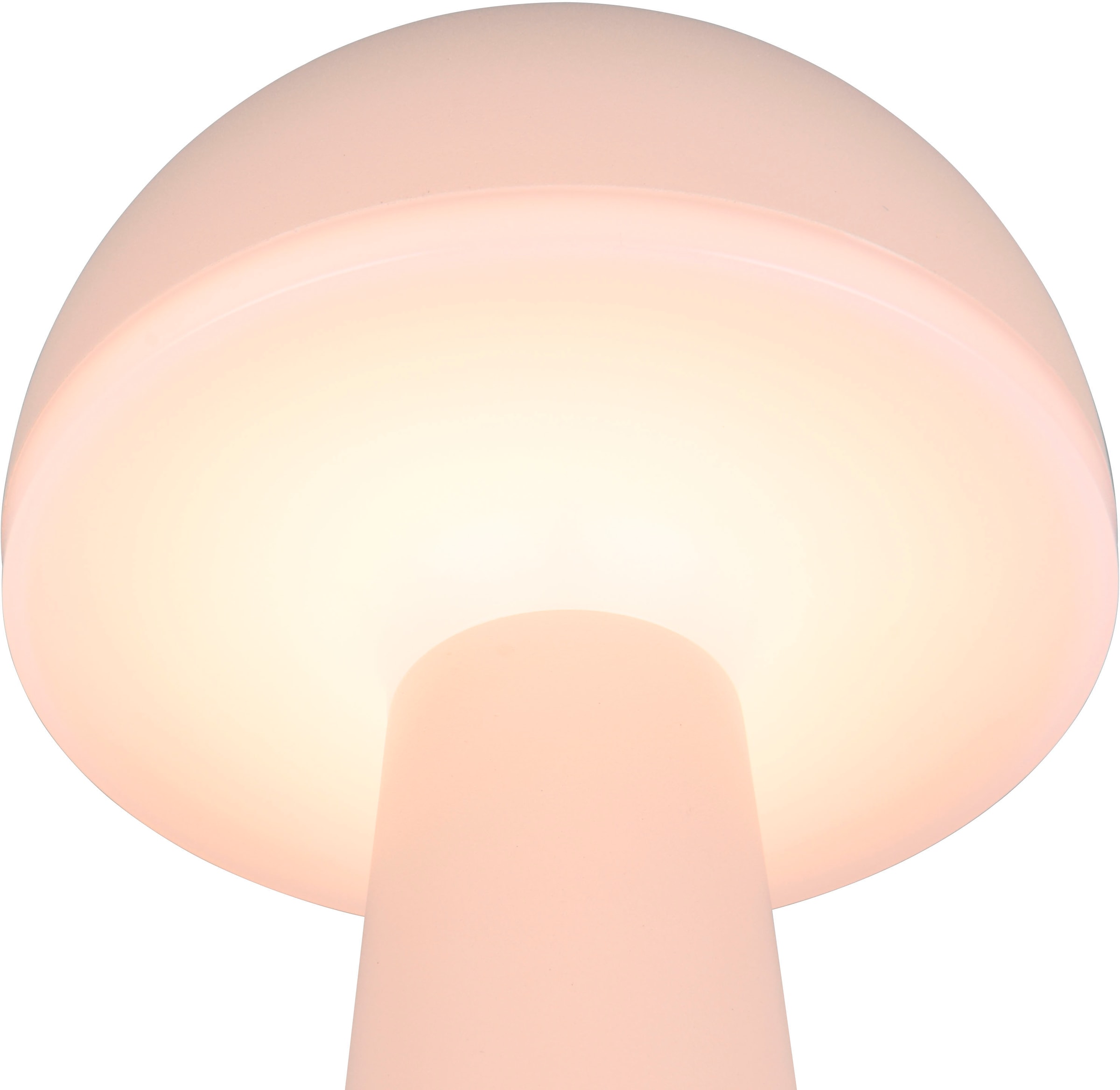 REALITY Leuchten LED Außen-Tischleuchte »FUNGO«, 1 flammig, Leuchtmittel LED-Board | LED fest integriert, Outdoor Akku Tischlampe inkl Ladestation USB-C, Lichtfarbe einstellbar
