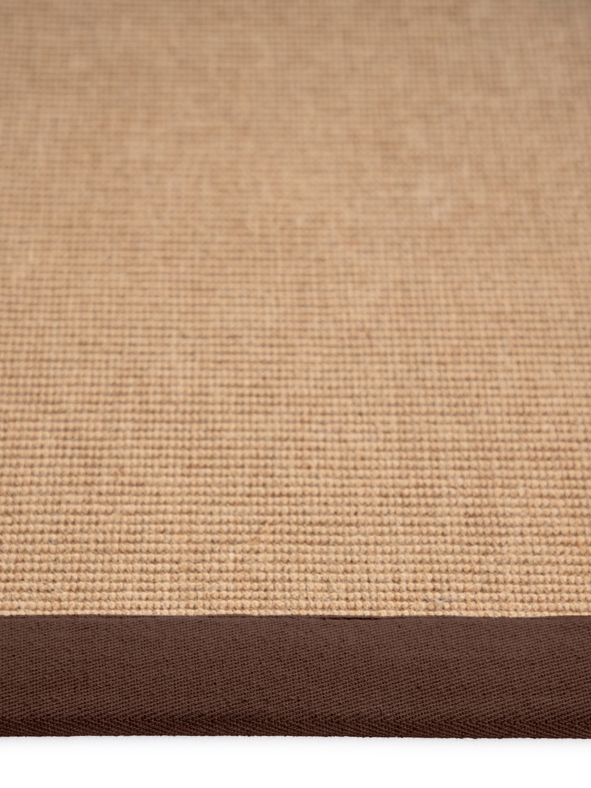 carpetfine Sisalteppich »Sisal«, rechteckig, 5 mm Höhe, mit farbiger Bordüre, Anti Rutsch Rückseite