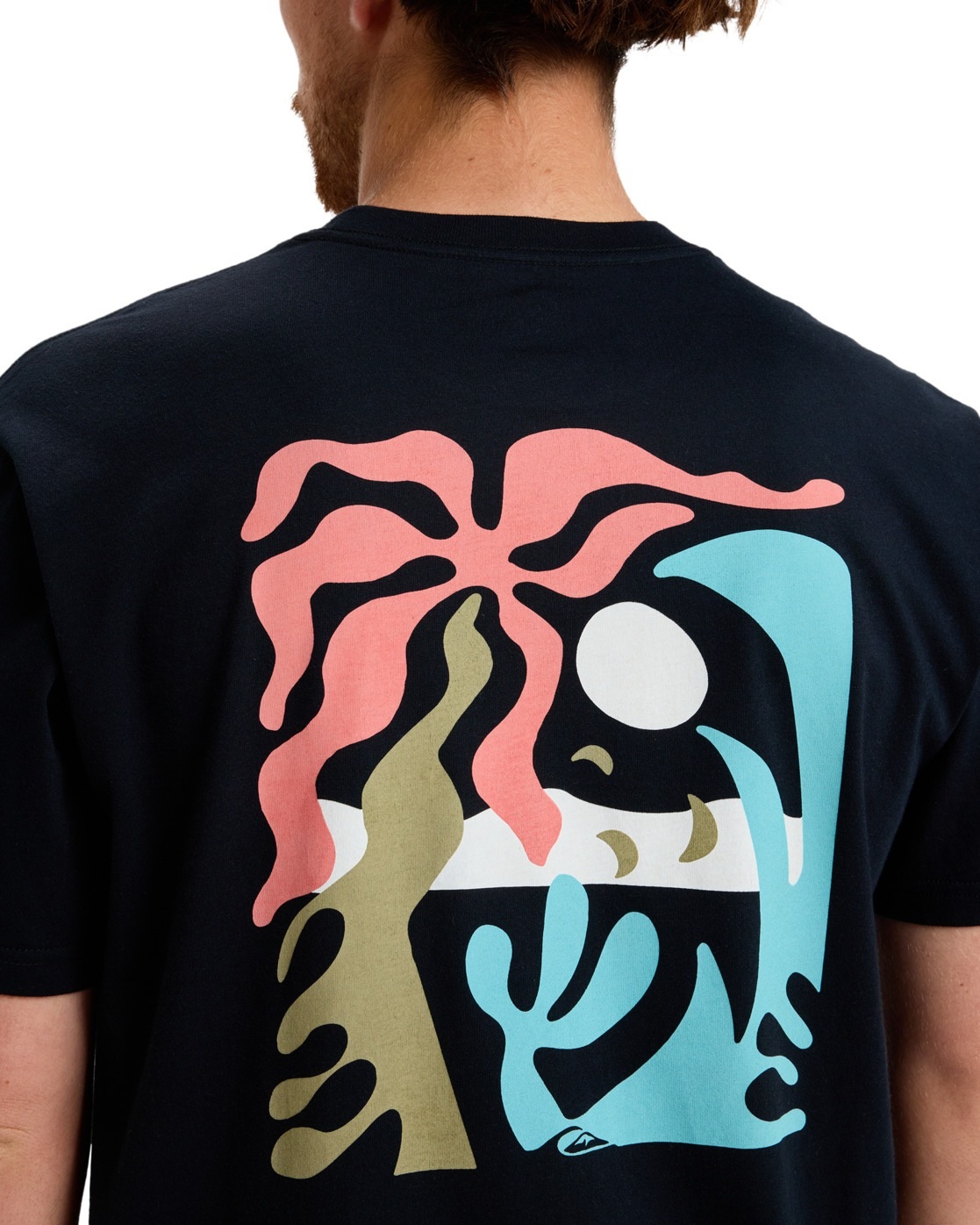 Quiksilver T-Shirt »Ev Everyday Paradise«
