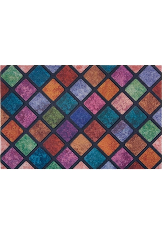 my home Fußmatte »Caro«, rechteckig, 6 mm Höhe, In und Outdoor geeignet,Farbenfroh,... kaufen