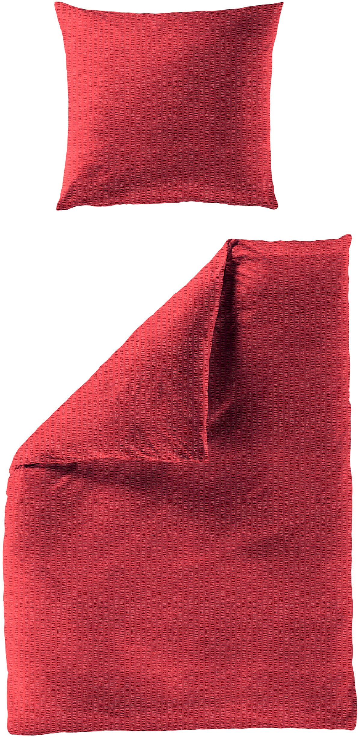 BIERBAUM Bettwäsche "Chic Uni" 2 Stk. Schickes Unidesign: Modern und elegant für jedes Schlafzimmer