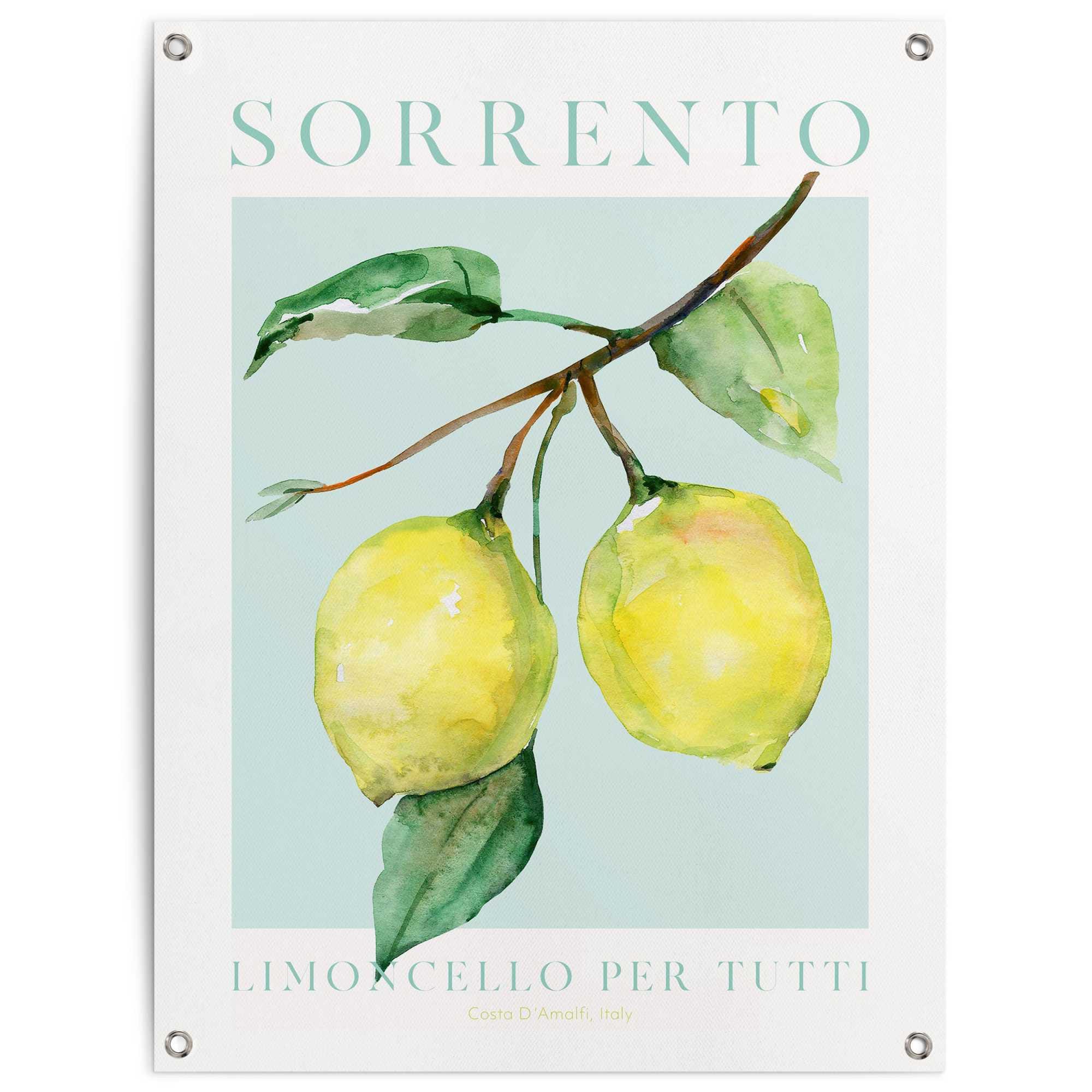 Reinders Poster "Lemon Portrait" Garten - Obst - Sorrento - Italien - Gelb - Leinwand - 60x80 cm
