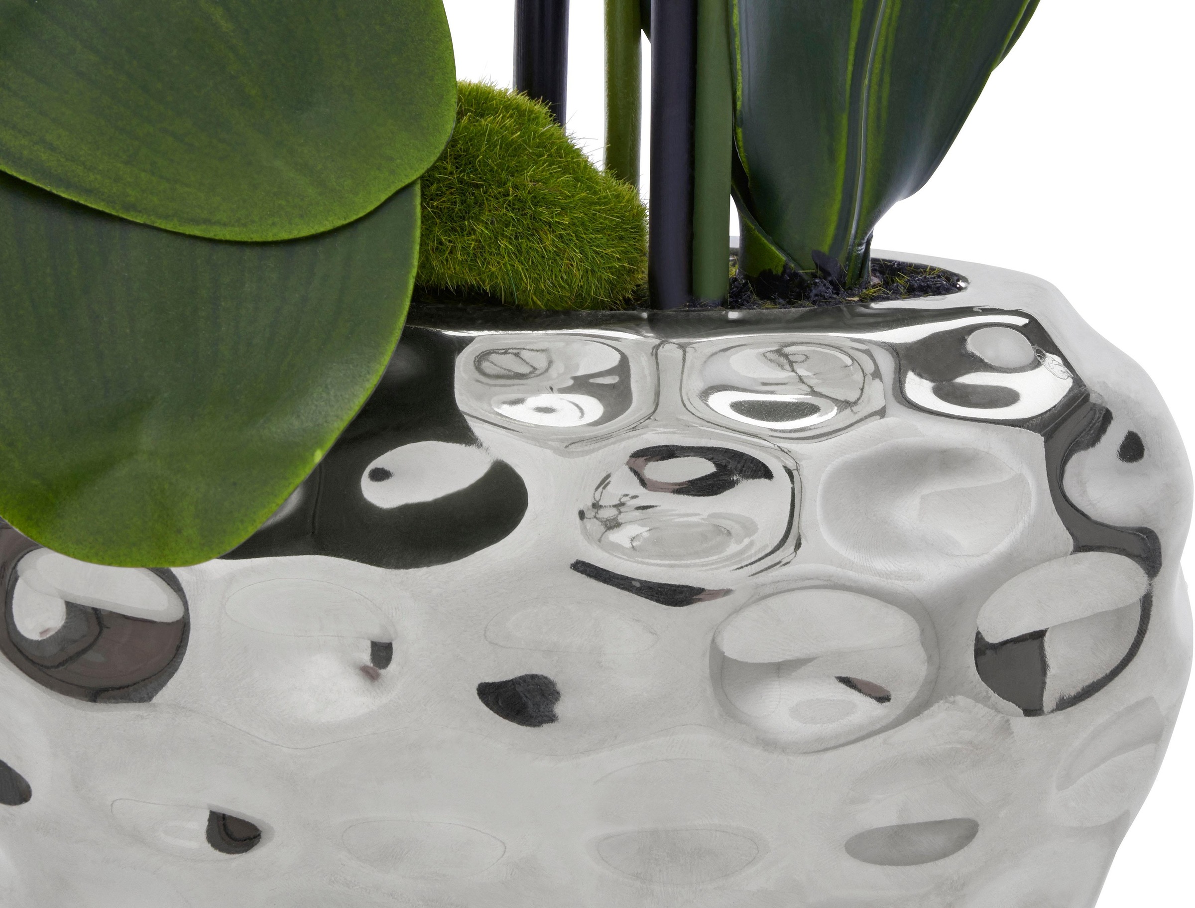 Creativ green Kunstpflanze »Orchidee« mit online Jahren kaufen Garantie | XXL 3