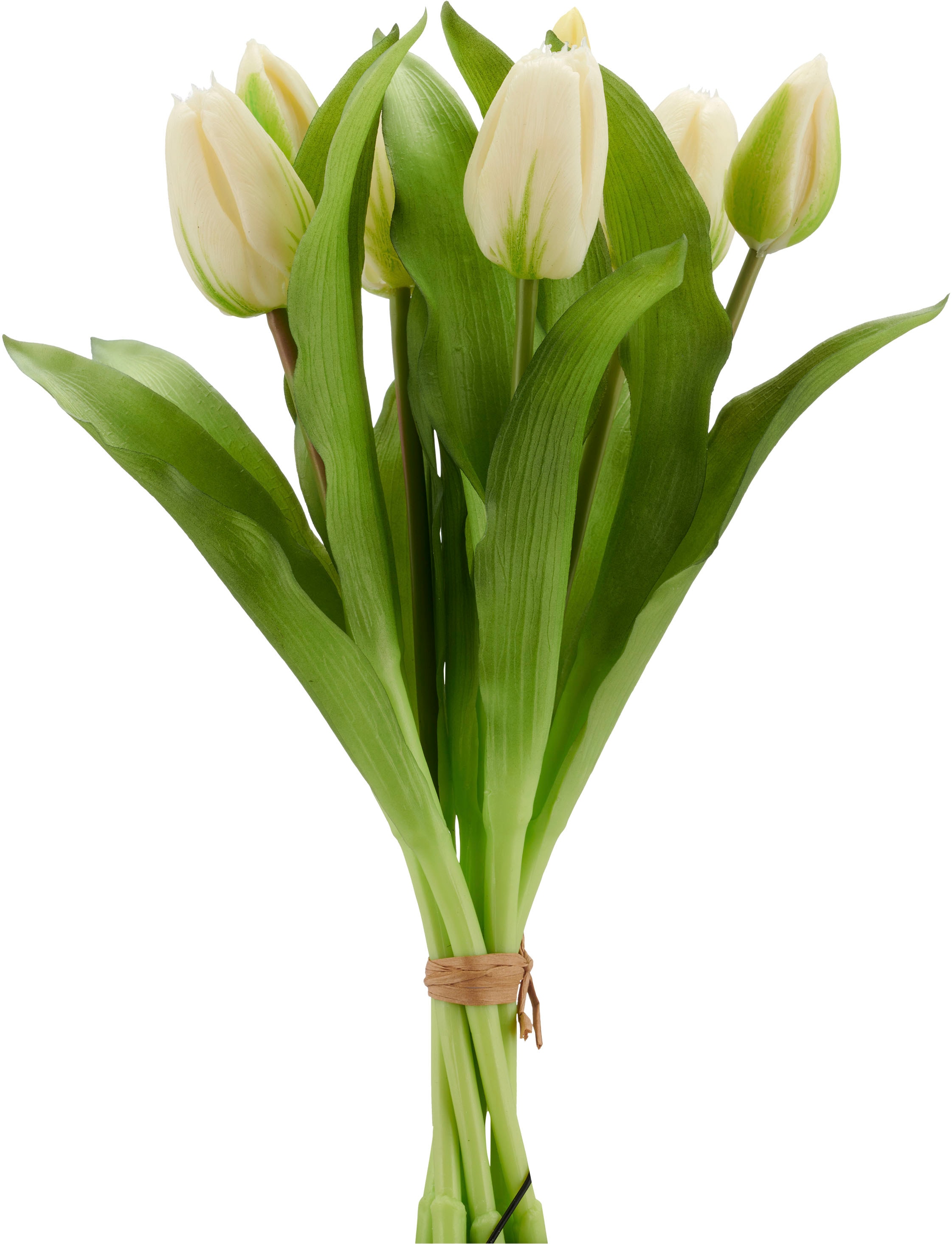 Creativ green Kunsttulpe »Tulpenbund« aus 7 Einzelstielen