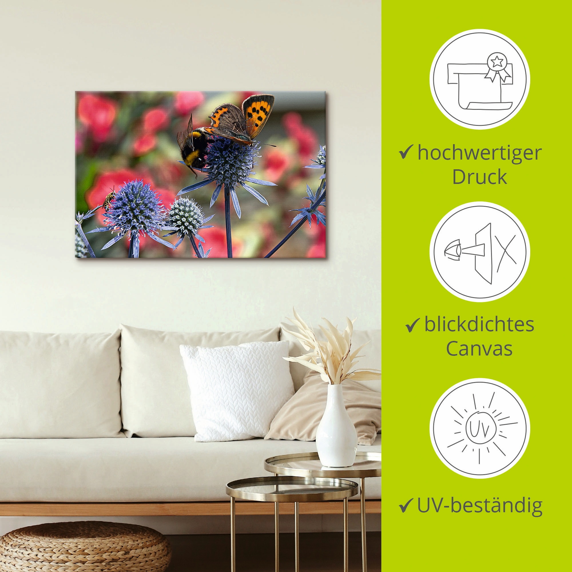 Artland Wandbild »Kleiner Feuerfalter und Hummel«, Insekten, (1 St.), als Alubild, Outdoorbild, Leinwandbild, Wandaufkleber, versch. Größen