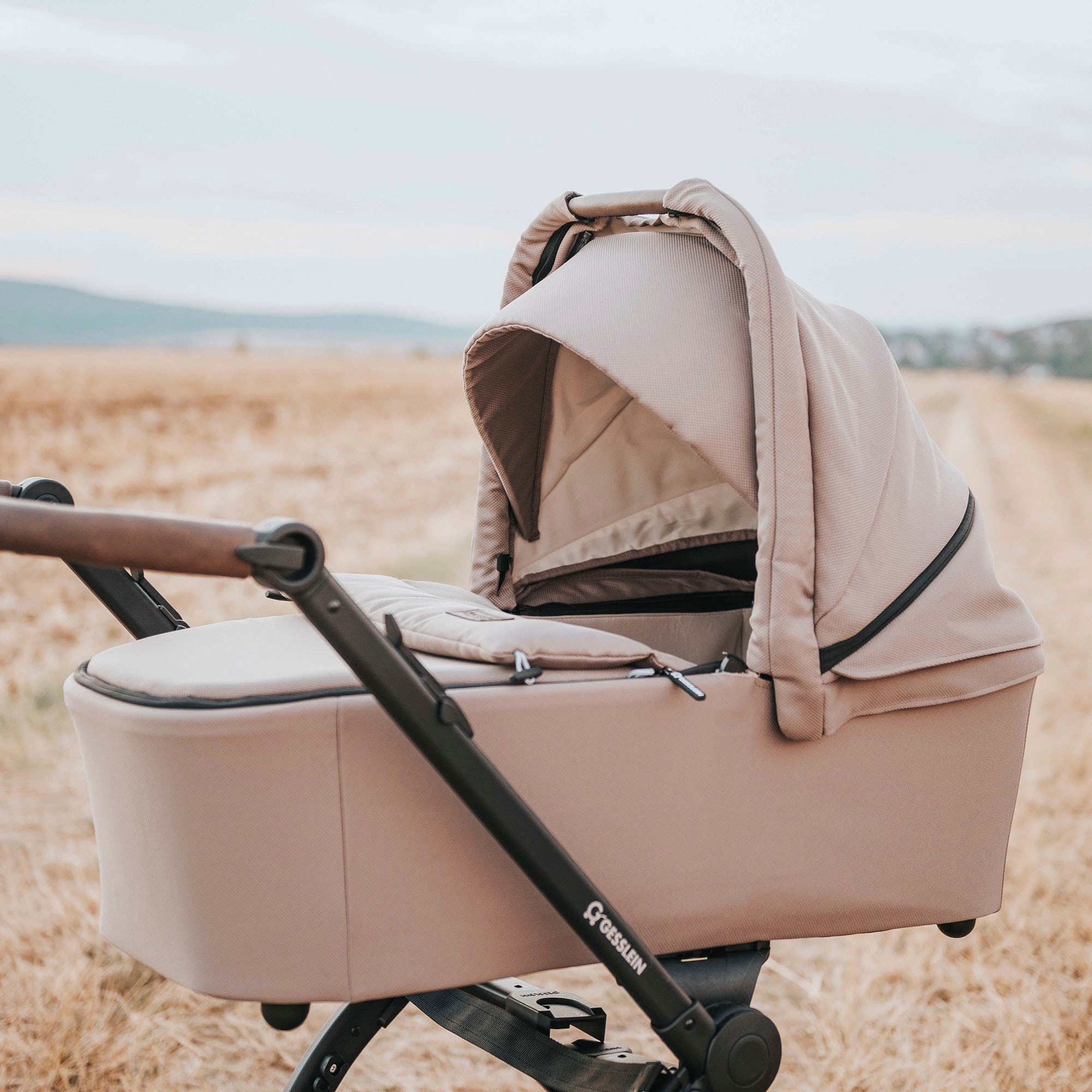 Gesslein Kombi-Kinderwagen »FX4 Soft+ mit Aufsatz Swing schwarz, sand«, mit Babywanne C3 und Babyschalenadapter