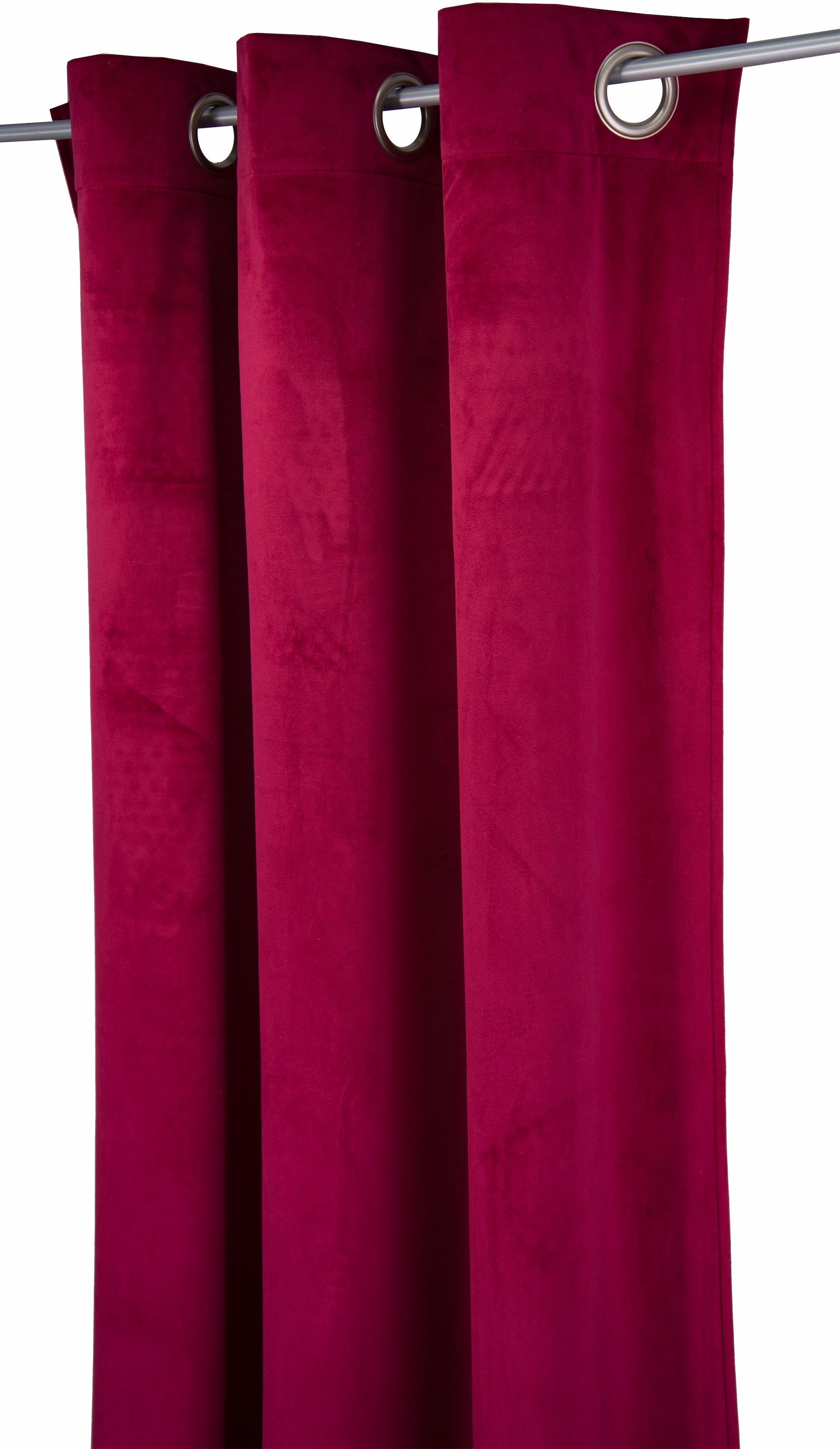 TOM TAILOR HOME Vorhang »FRENCH VELVET«, (1 St.), HxB: 245x135