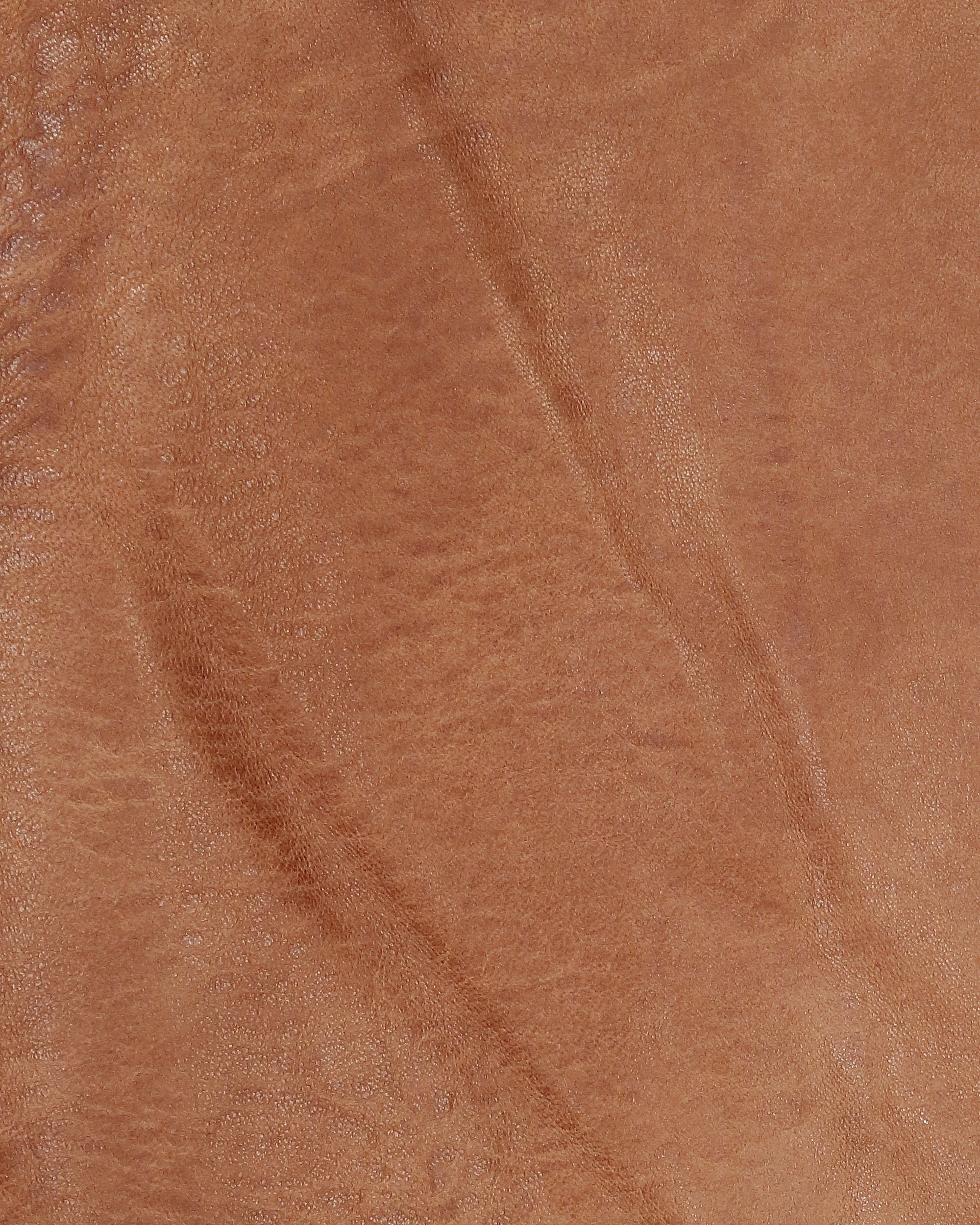 MUSTANG Lederjacke »Lederjacke Wellington«