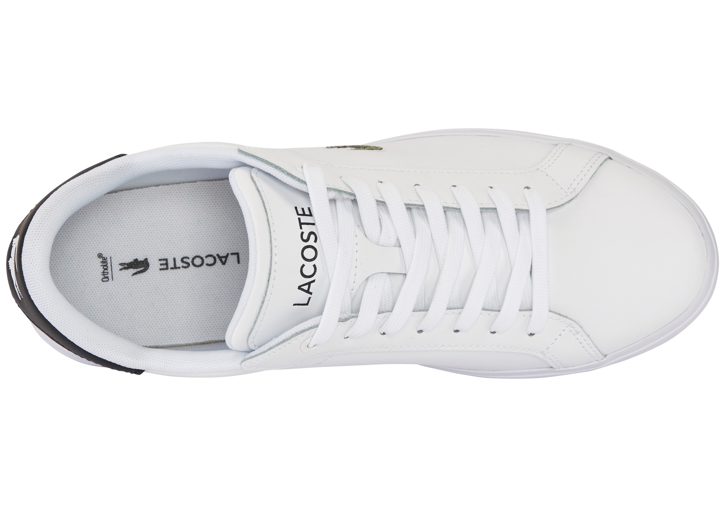 Lacoste Sneaker »POWERCOURT«