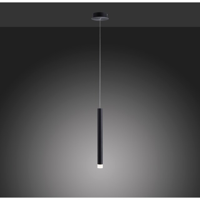 Leuchten Direkt Pendelleuchte »BRUNO«, 1 flammig-flammig, LED online kaufen  | mit 3 Jahren XXL Garantie
