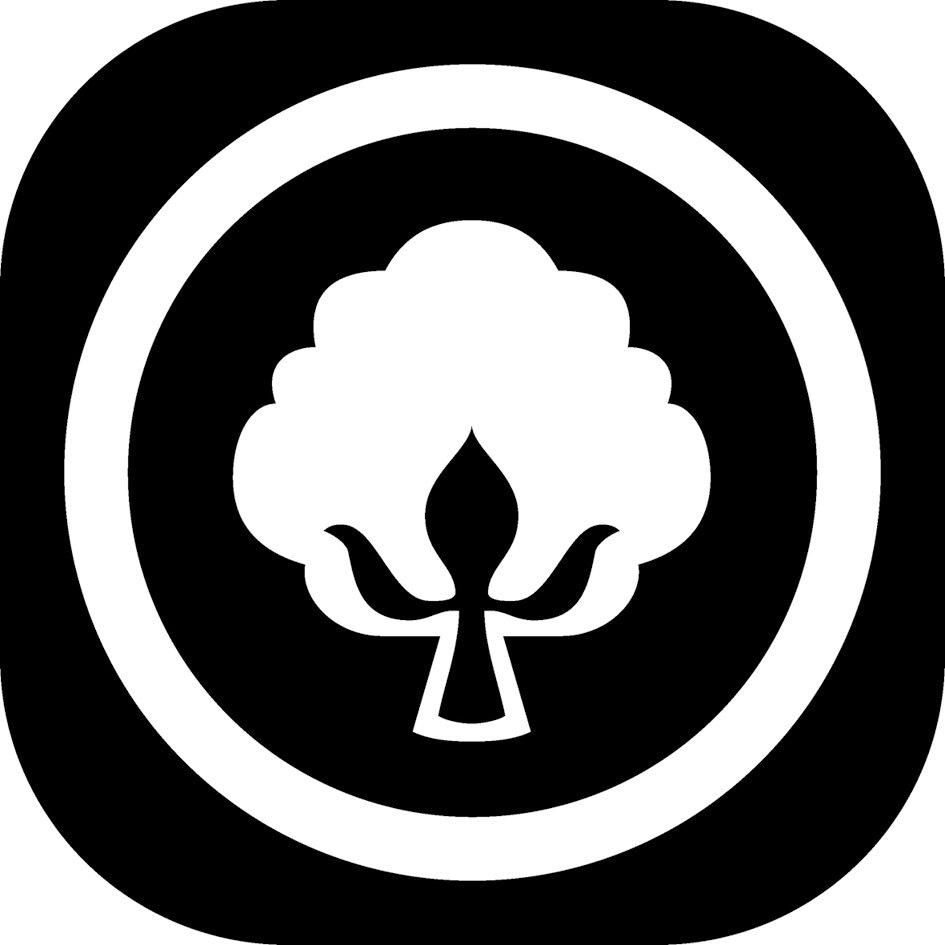 fan Naturhaarbettdecke »Kamelhaar«, normal, Füllung 100 % Kamelhaar, Bezug Baumwoll-Perkal, (1 St.), „Made in Germany“
