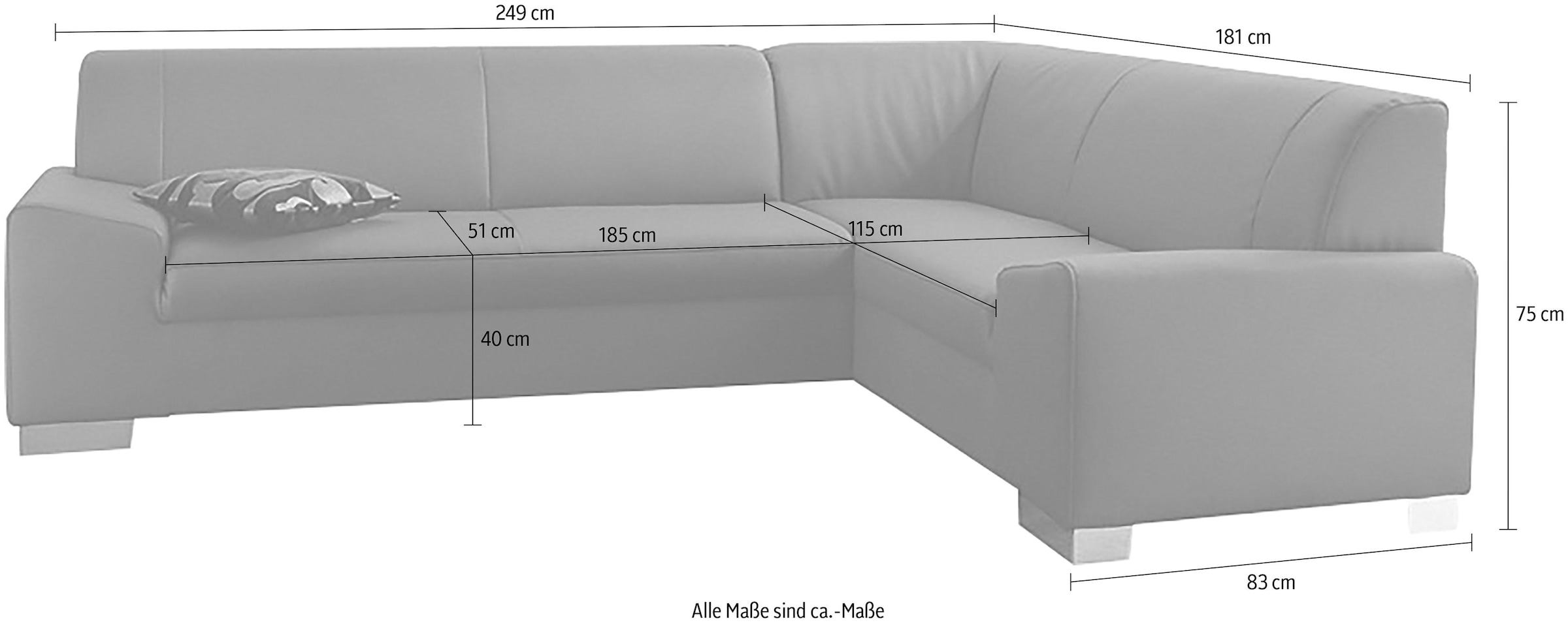 DOMO collection Ecksofa »Alisson, zeitlose Optik, flache Armlehnen, L-Form«, fester Sitzkomfort, wahlweise mit Bettfunktion