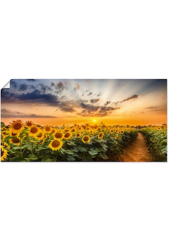 Artland Wandbild »Sonnenblumenfeld bei Sonnenuntergang«, Blumenbilder, (1 St.), als... kaufen