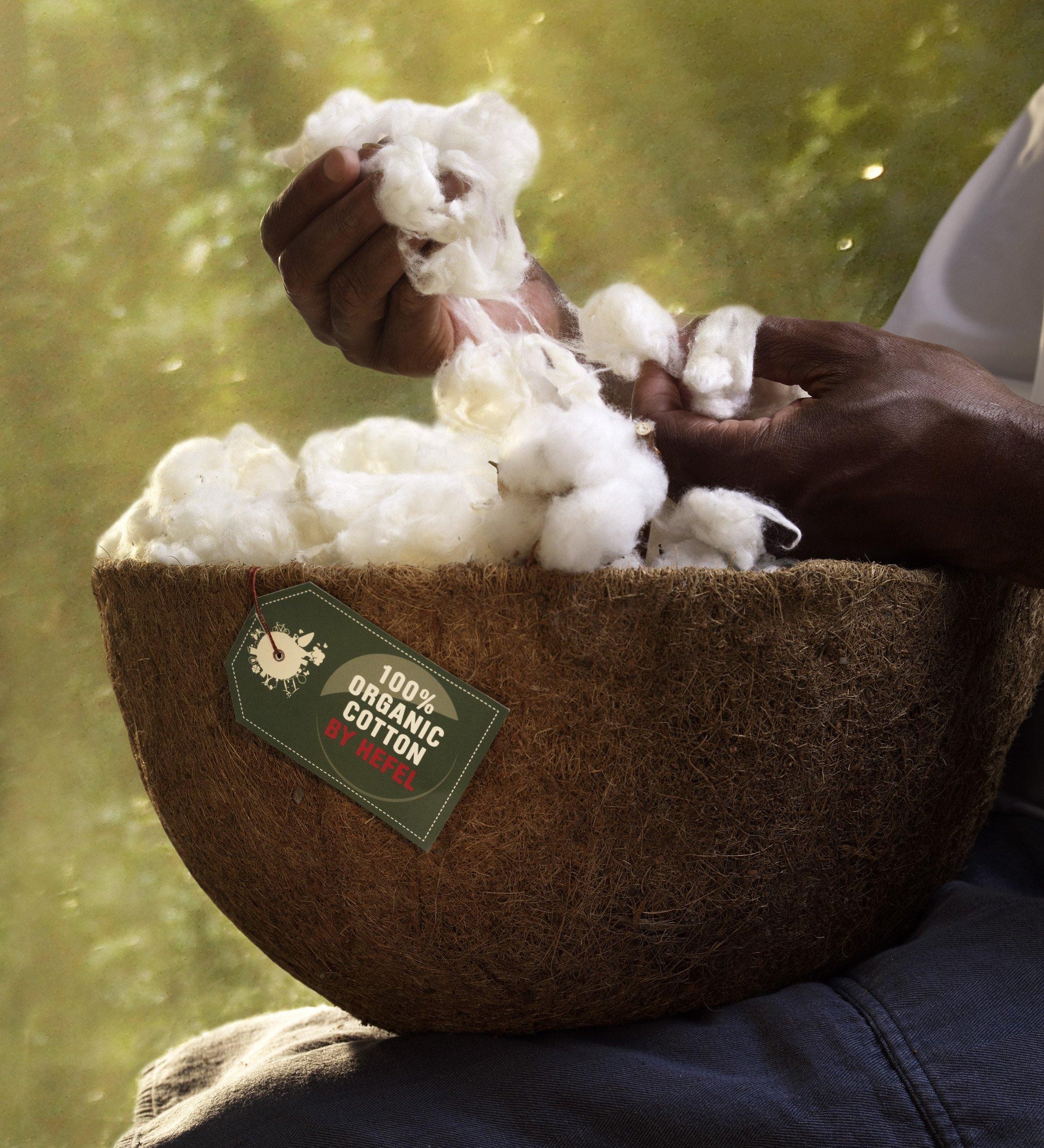Hefel Naturfaserbettdecke »BIO HANF«, normal, Füllung 70% HEFEL-Hanf und 30% HEFEL-Organic-Cotton, Bezug 100% Organic-Cotton, (1 St.)