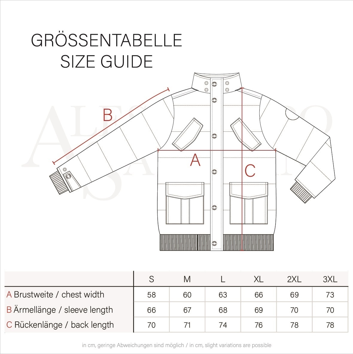 Alessandro Salvarini Winterjacke »Alessandro Salvarini Herren Winterjacke AS286«