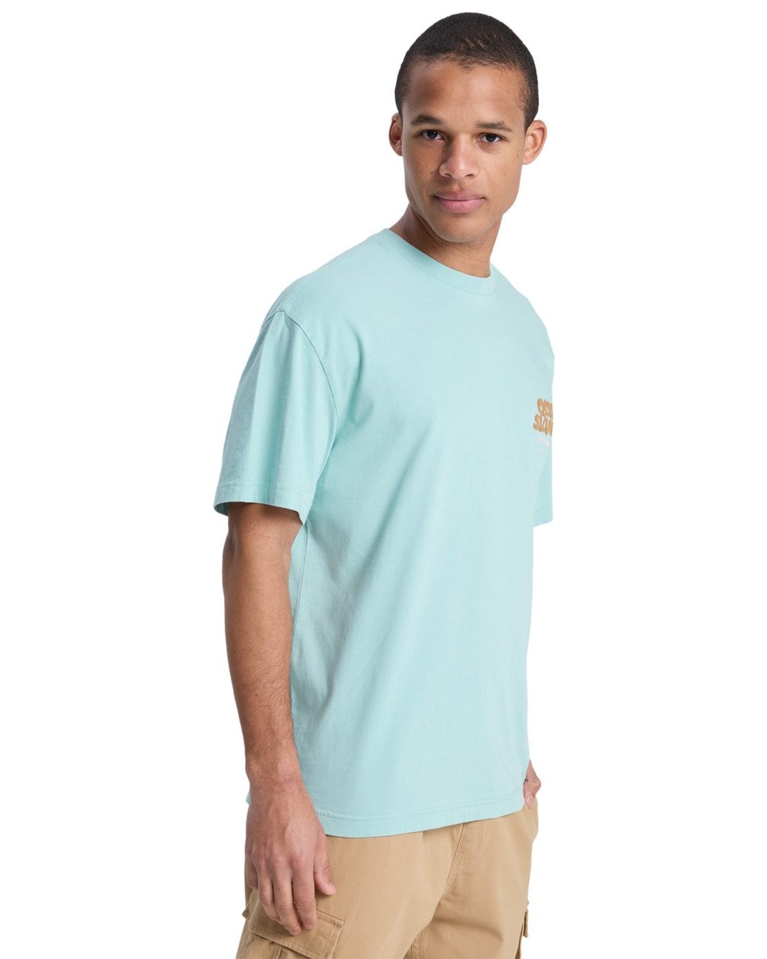 Quiksilver T-Shirt »Fruits Tide«