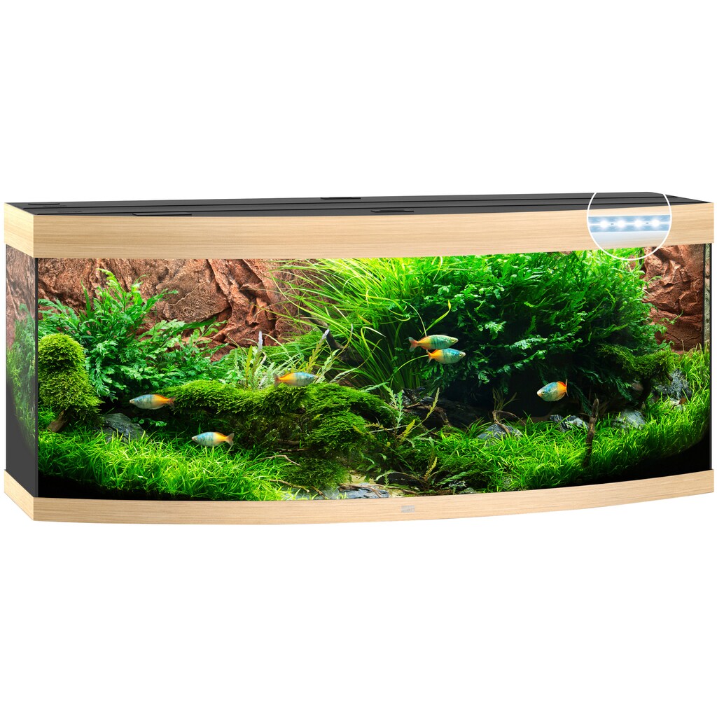 JUWEL AQUARIEN Aquarium »Vision 450 LED«, BxTxH: 151x61x64 cm, 450 l