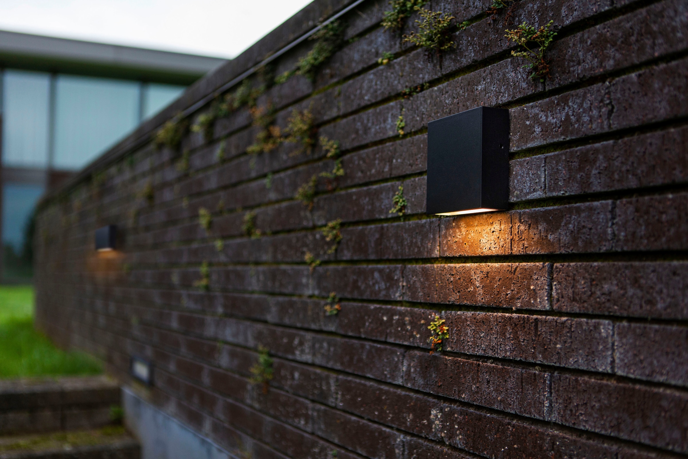 LUTEC LED Außen-Wandleuchte »GEMINI XF« online kaufen | mit 3 Jahren XXL  Garantie