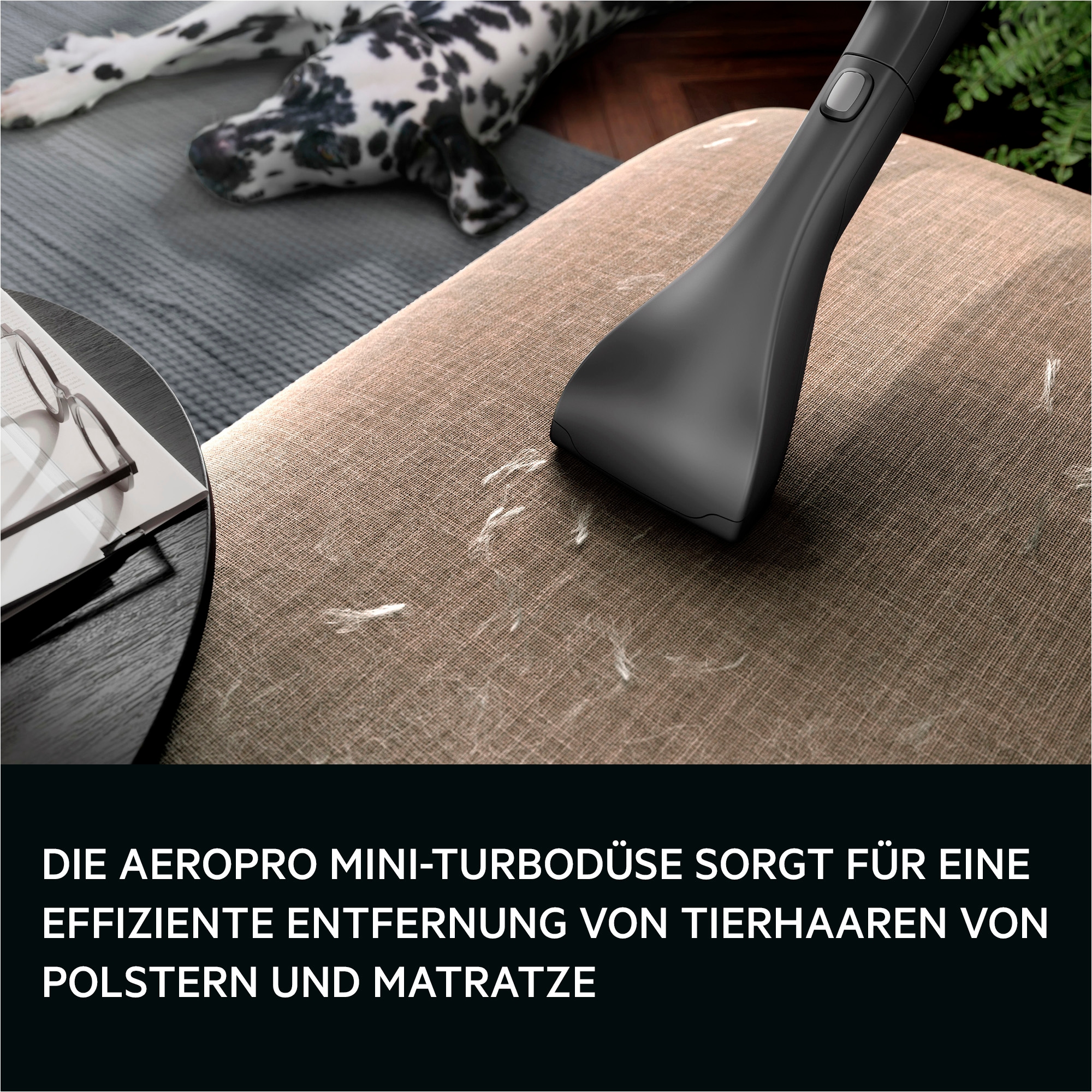 AEG Bodenstaubsauger »VX9-5-EBR« 650 W mit Beutel Extra stark & leise – Beutelstaubsauger 69 dB, HEPA für Allergiker