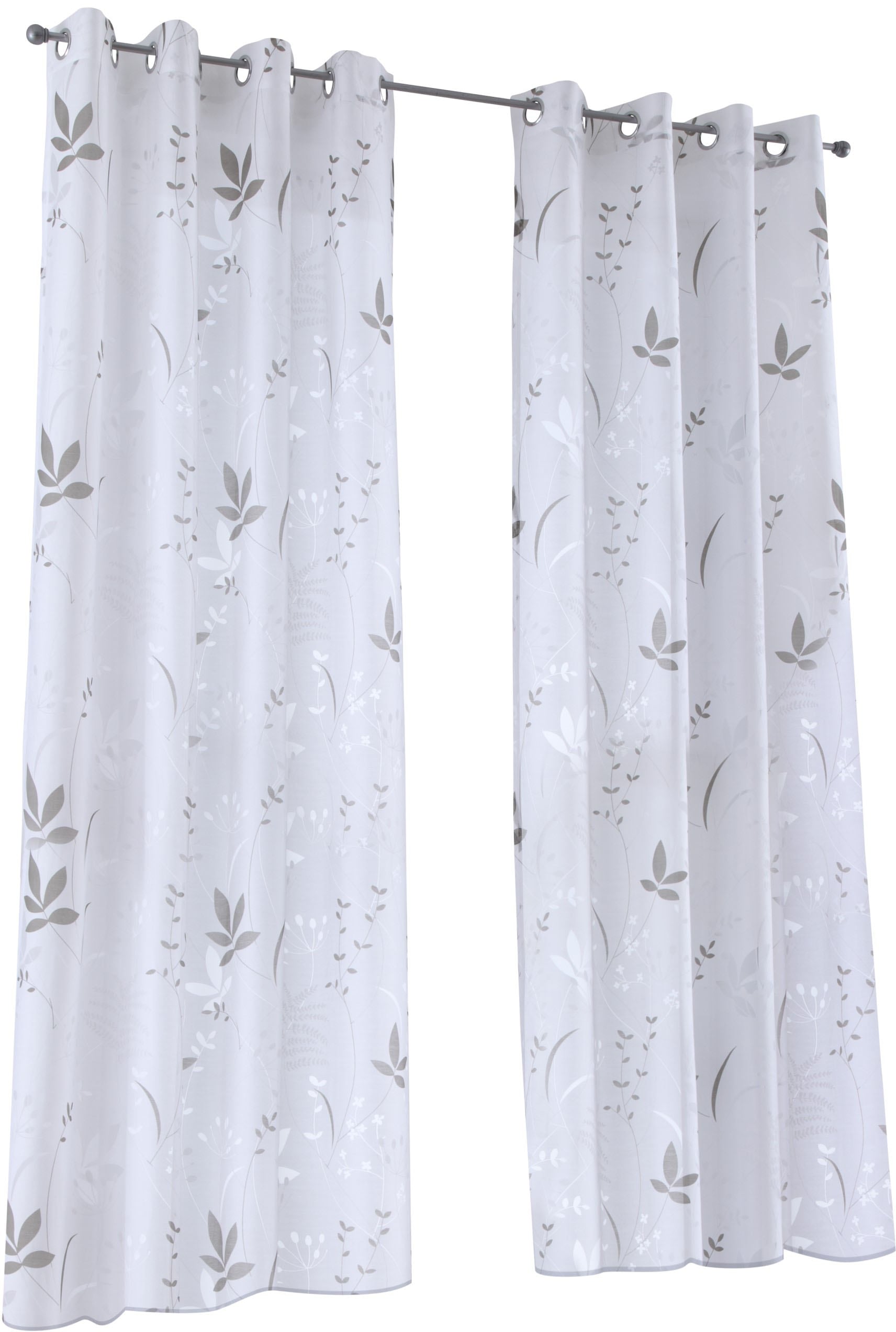Kutti Vorhang (1 bedruckt online Ausbrenner, Baumwolle-Polyester, Gardine kaufen »Dandelion«, St.), halbtransparent