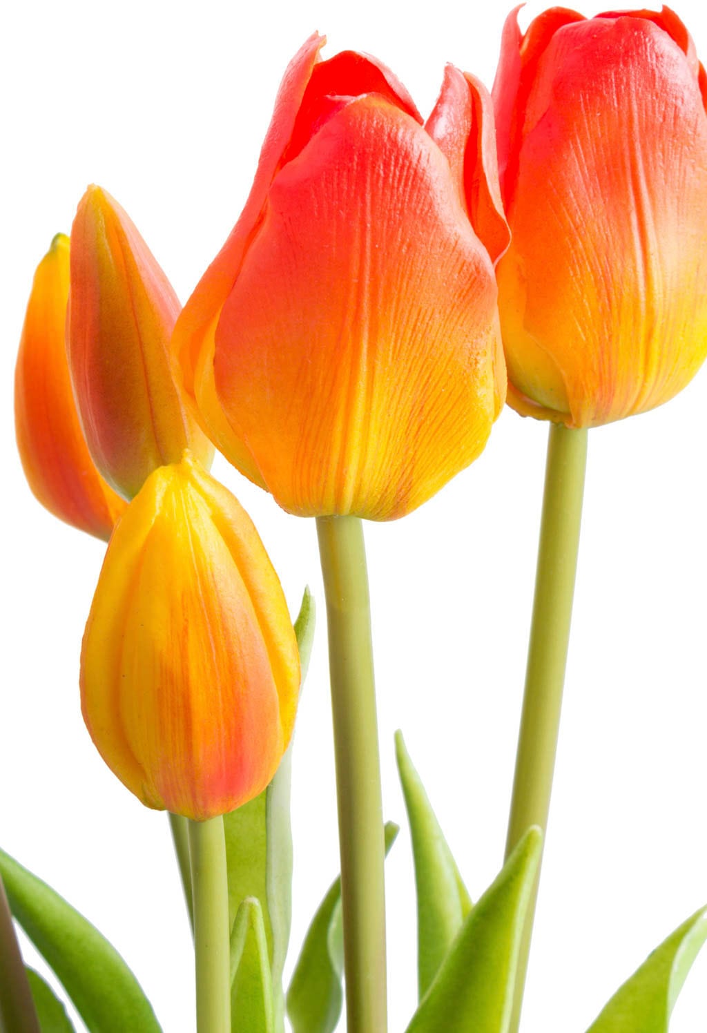 Botanic-Haus Kunstblume »Tulpenbündel« bequem kaufen | Kunstblumen