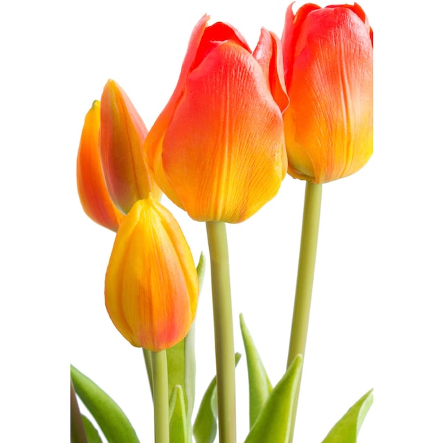 Botanic-Haus Kunstblume »Tulpenbündel« bequem kaufen