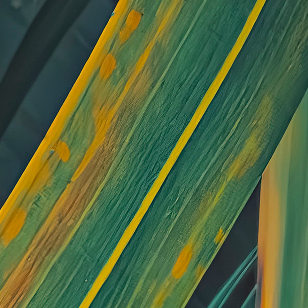 Komar Fototapete »Digitaldruck Vlies -  Foggy Fern - Größe 400 x 250 cm« bedruckt glatt Wohnzimmer, Schlafzimmer