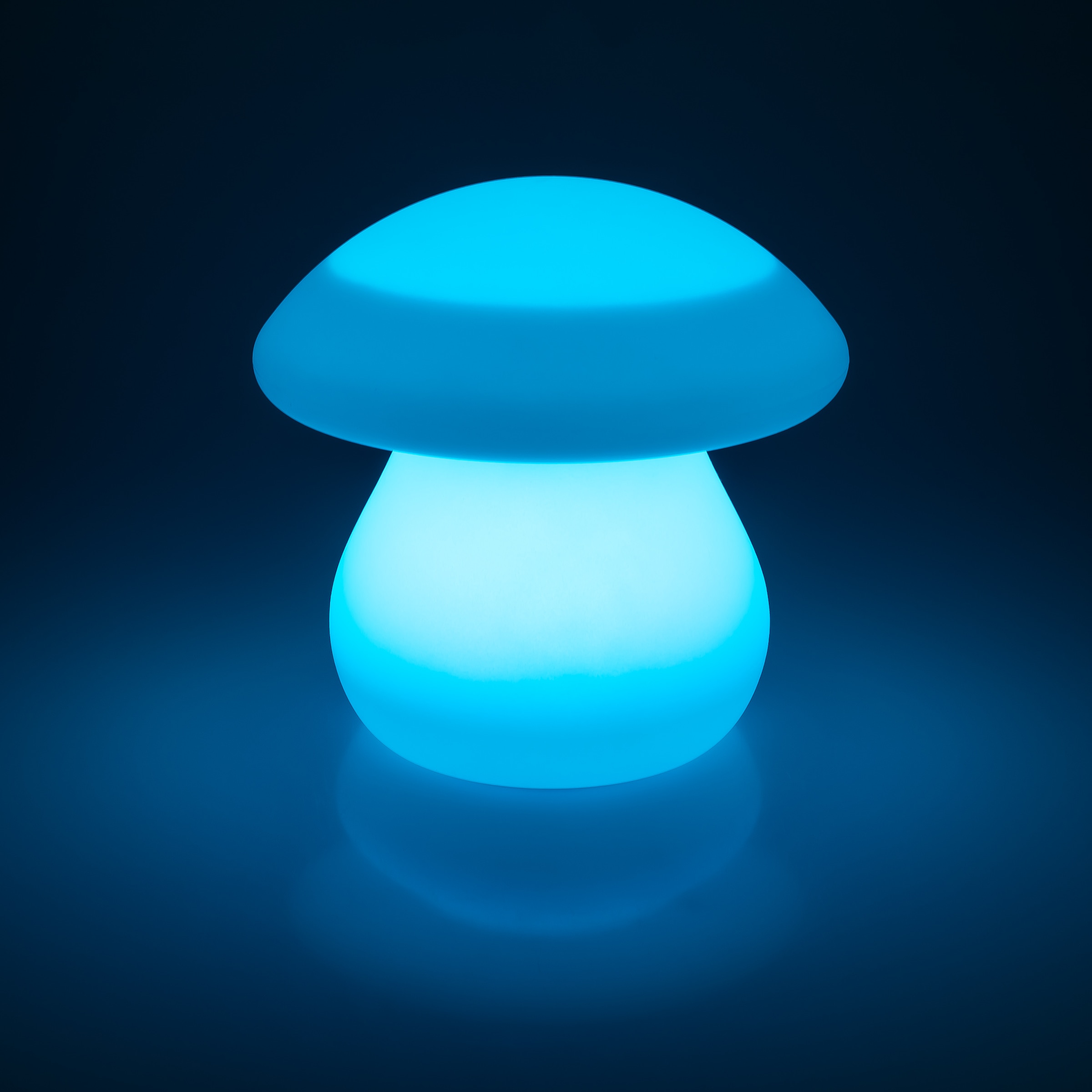 my home LED Solarleuchte »Elowyn, LED-Solar Pilz« LED-Modul 1 Stk. RGB | Warmweiß mit Erdspieß und Fernbedienung