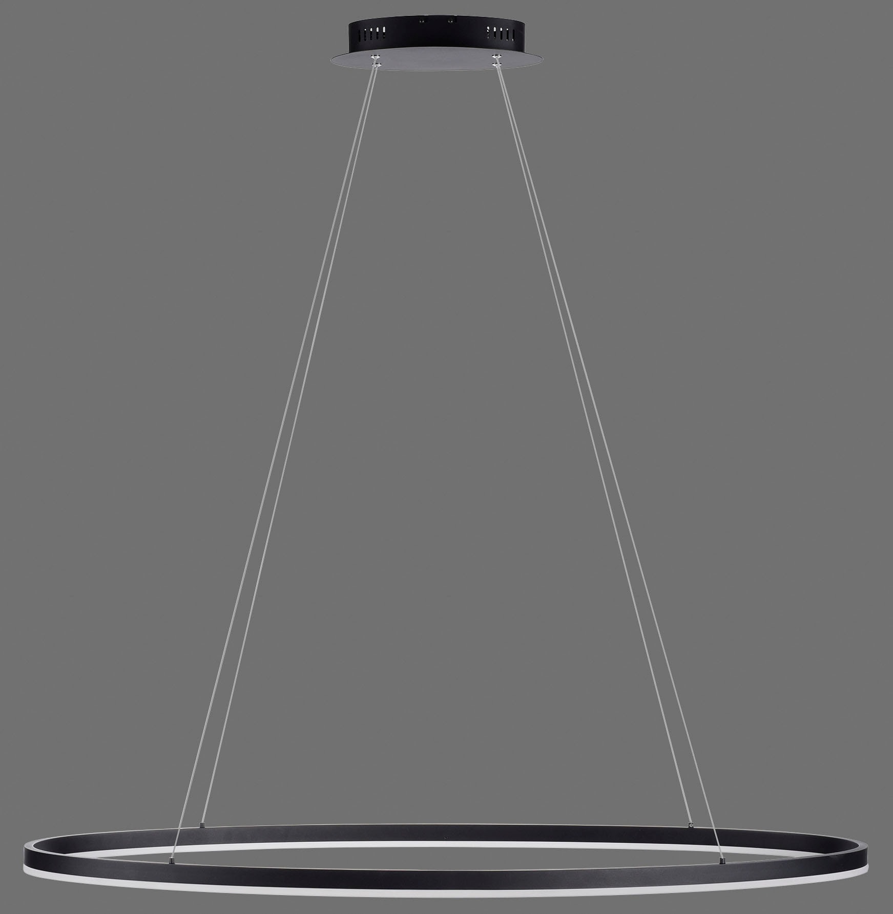 Paul Neuhaus Pendelleuchte »TITUS«, 1 flammig, Leuchtmittel LED-Board | LED fest integriert, LED, Simply Dim