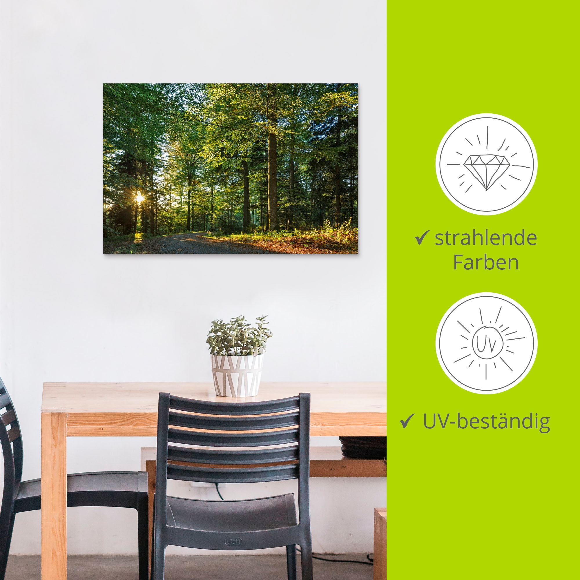 Artland Wandbild »Waldweg im Romantischen Schwarzwald« Waldbilder 1 Stk. tlg. als Alubild, Leinwandbild in verschied. Größen