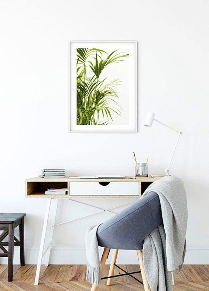 Komar Bild »Reed Leaves« Blätter | Pflanzen 1 Stk. tlg. Wandbild zur Dekoration - ohne Rahmen