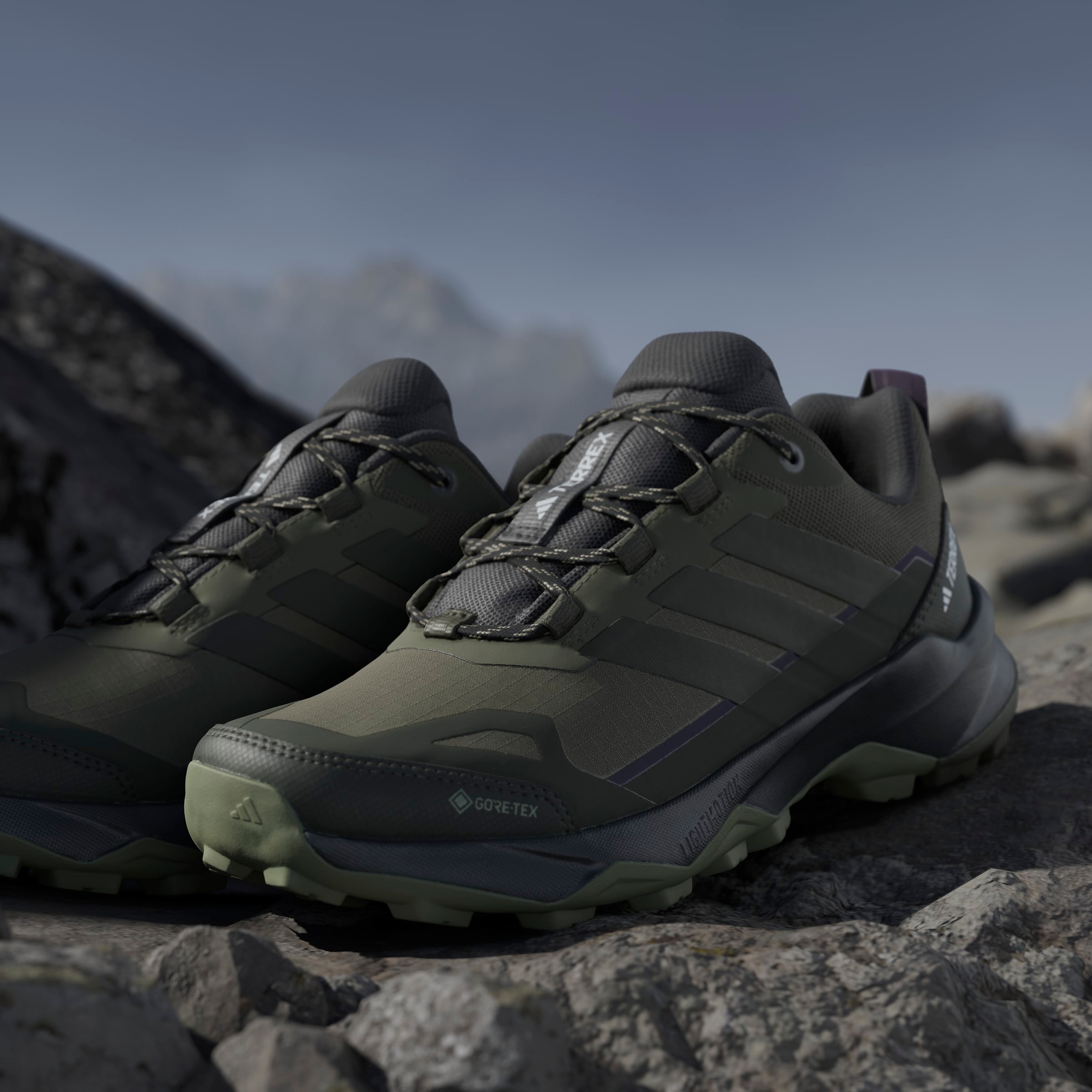 adidas TERREX Wanderschuh »TERREX SKYCHASER AX5 GORE-TEX«  wasserdicht dank Gore-Tex Membrane