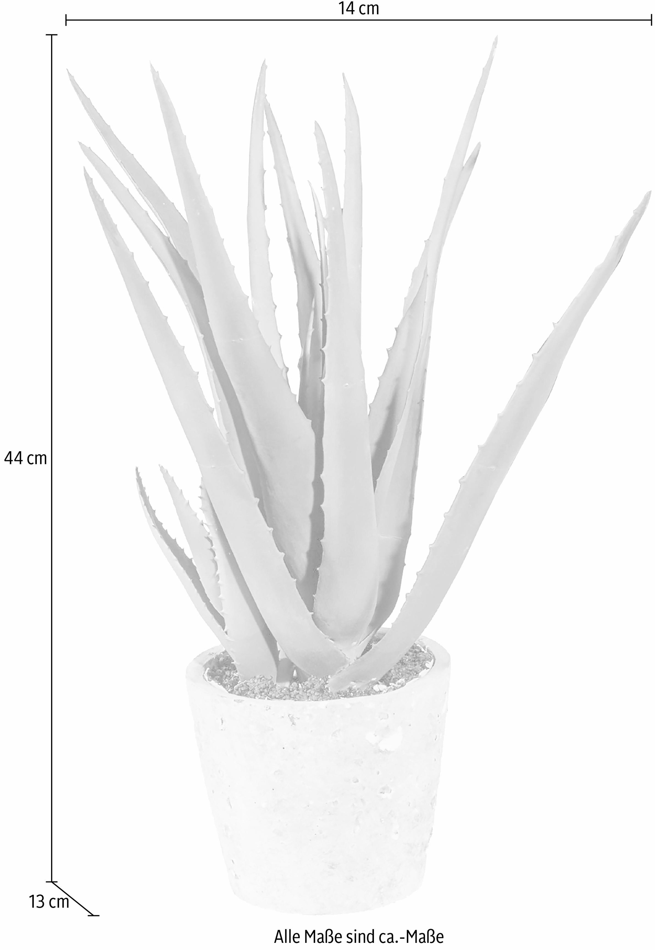 Creativ green Kunstpflanze »Aloe« Garantie | online 3 mit XXL kaufen Jahren