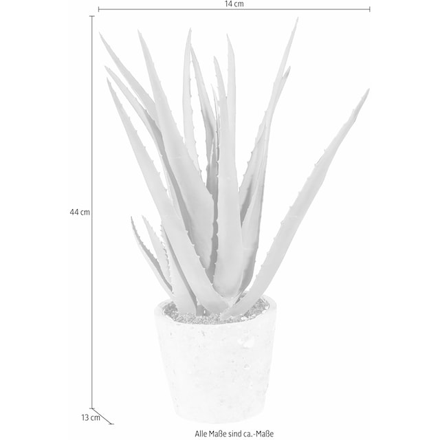 Creativ green Kunstpflanze »Aloe« online kaufen | mit 3 Jahren XXL Garantie