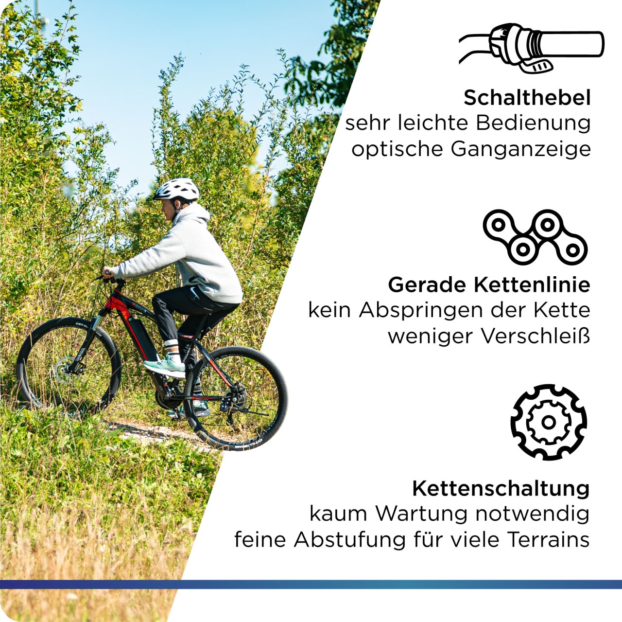 Zündapp E-Bike »Z801«, 21 Gang, Shimano, Tourney RD-TY300, Heckmotor 250 W, Pedelec, Elektrofahrrad für Damen u. Herren, MTB