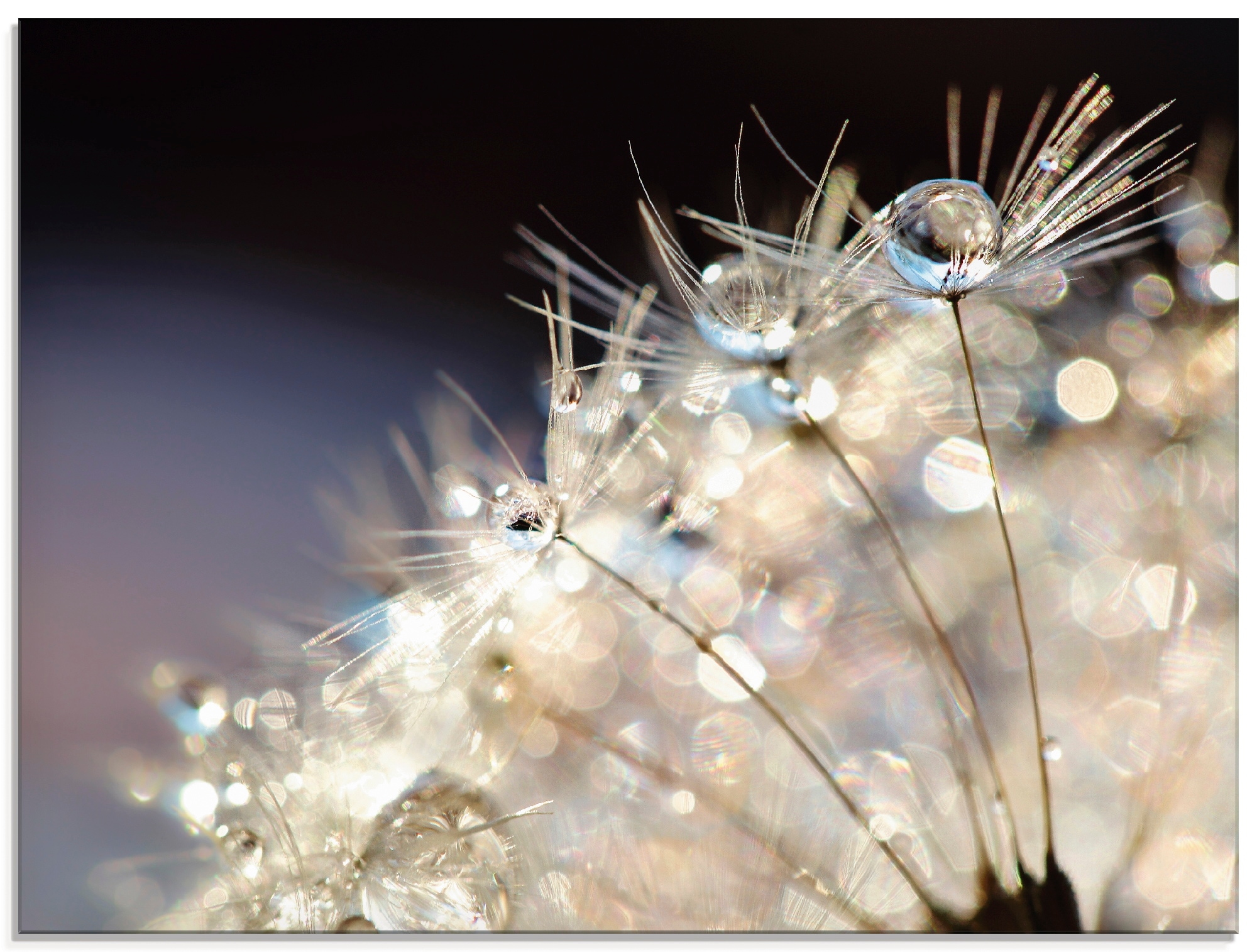 Artland Glasbild »Pusteblume Fantasie«, Blumen, (1 St.), in verschiedenen Größen
