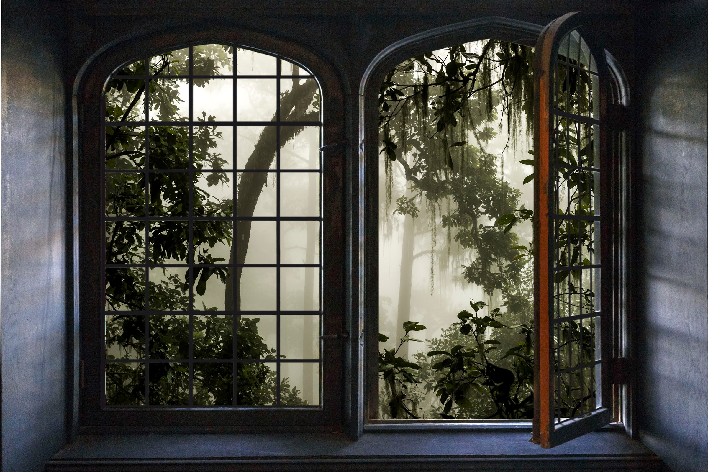queence Wandsticker »Urwald«, Wandsticker, Wandbild, selbstklebend, 3D, Fenster