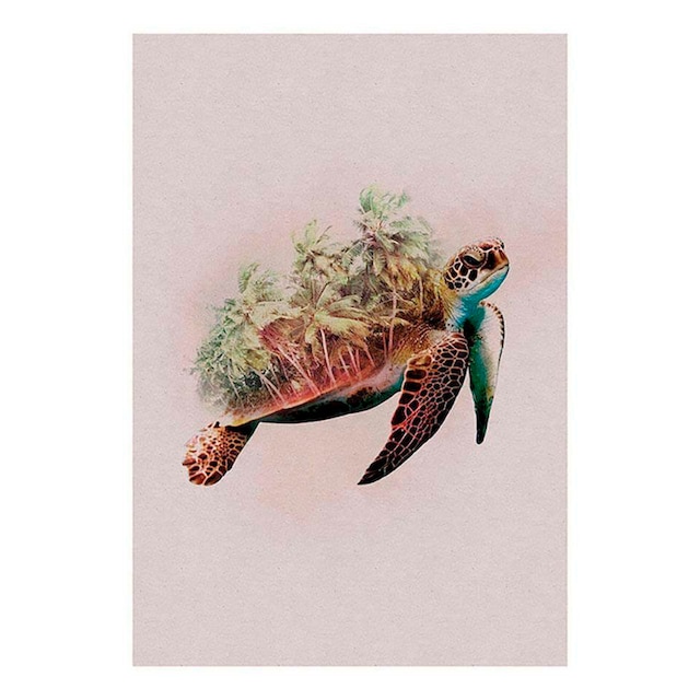 Komar Poster »Animals Paradise Turtle«, Tiere, (1 St.), Kinderzimmer,  Schlafzimmer, Wohnzimmer online kaufen | mit 3 Jahren XXL Garantie