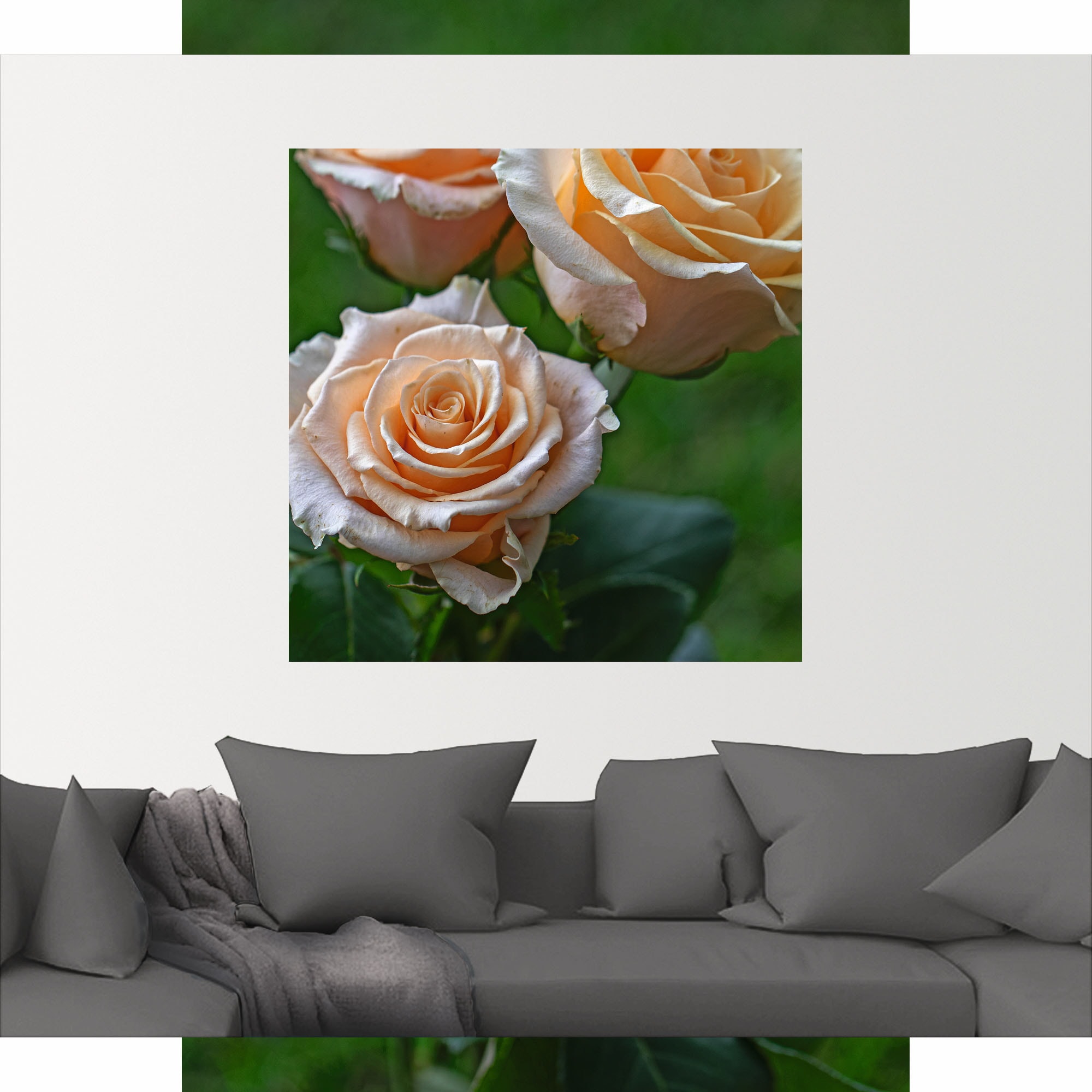 Artland Wandfolie »wunderschöne Rosen«, Blumenbilder, (1 St.), selbstklebend