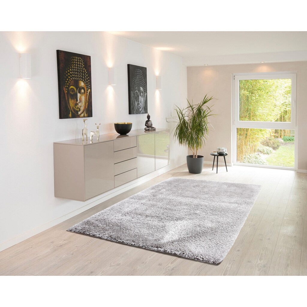 DELAVITA Hochflor-Teppich »Romy«, rechteckig, 63 mm Höhe, einfarbig, weiche Haptik, extra flauschig, idealer Teppich im Wohnzimmer & Schlafzimmer