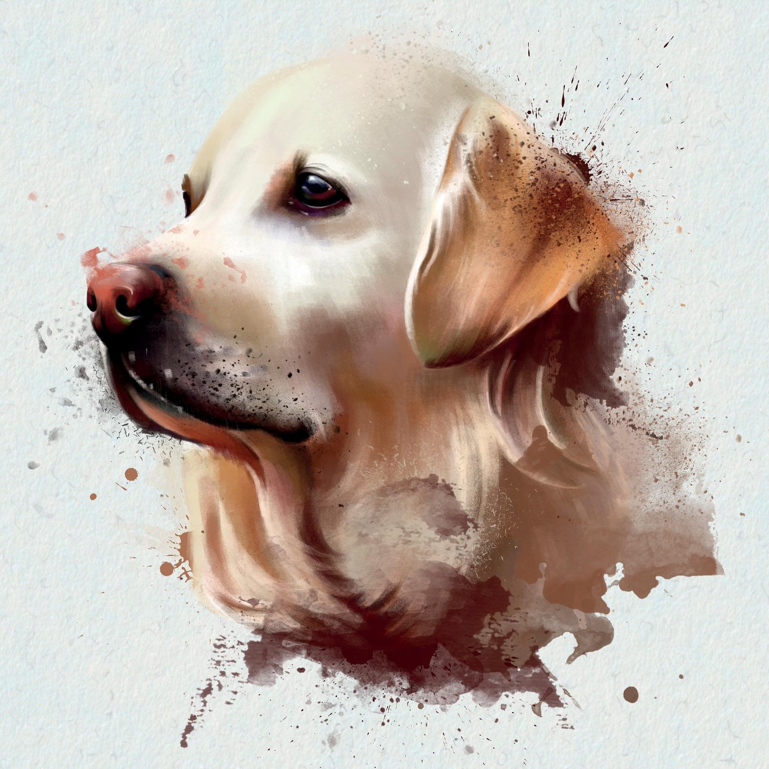 queence Dekokissen »Golden Retriever«, Kissenhülle ohne Füllung, 1 Stück