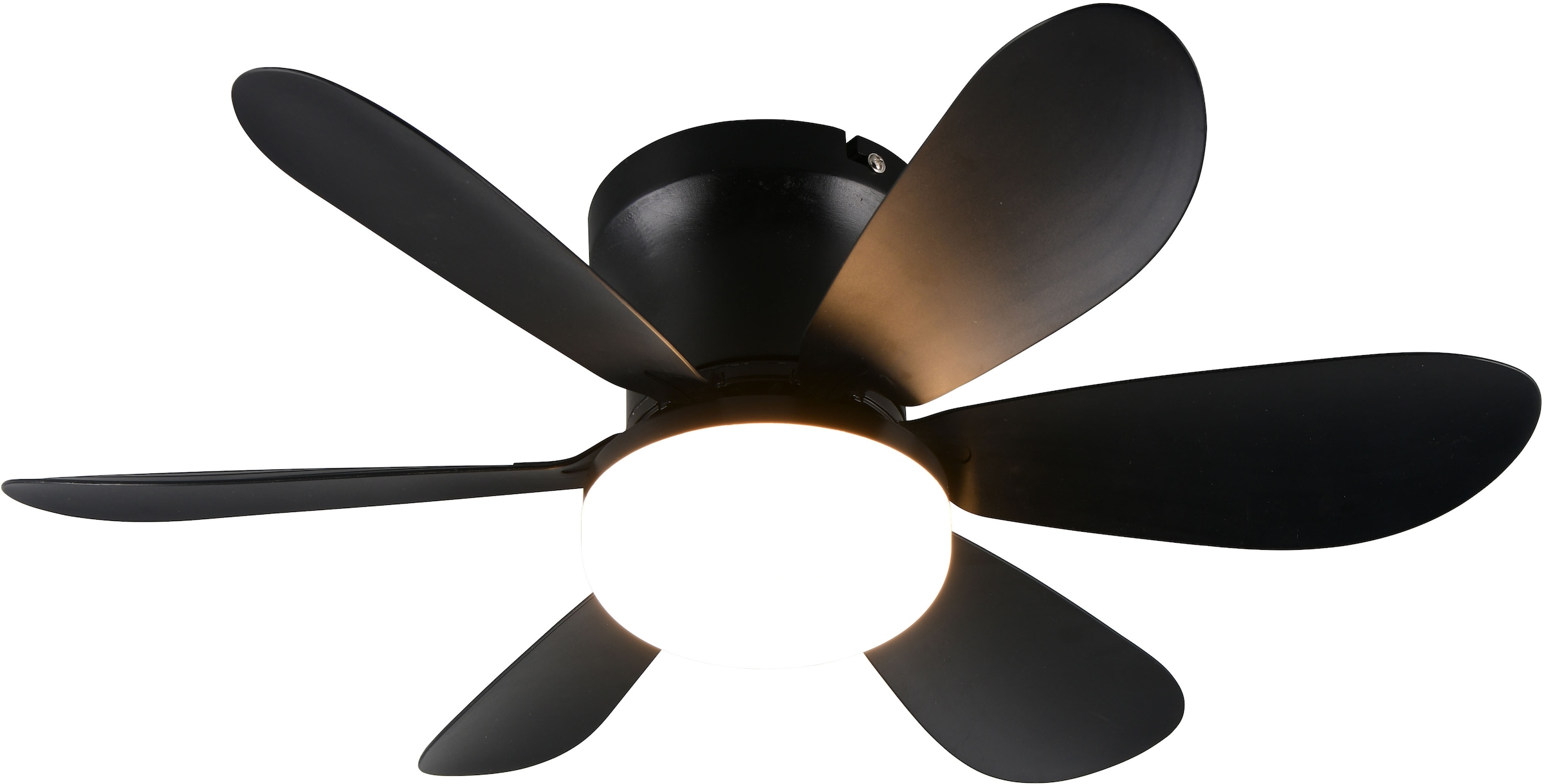 REALITY Leuchten LED Deckenleuchte »LUND mit Ventilator, Deckenventilator mit Licht inkl Fernbedienung« LED-Board 1 Stk. warmweiß - kaltweiß 3 Geschwindigkeiten Timer Vor- & Rücklauf LED dimmbar CCT Nachtlicht