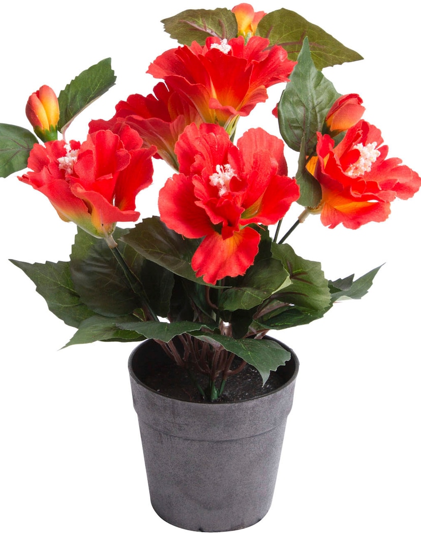 Botanic-Haus Kunstblume »Rosenstrauß 5 auf und Rechnung mit Rosen 3 Knospen« bestellen