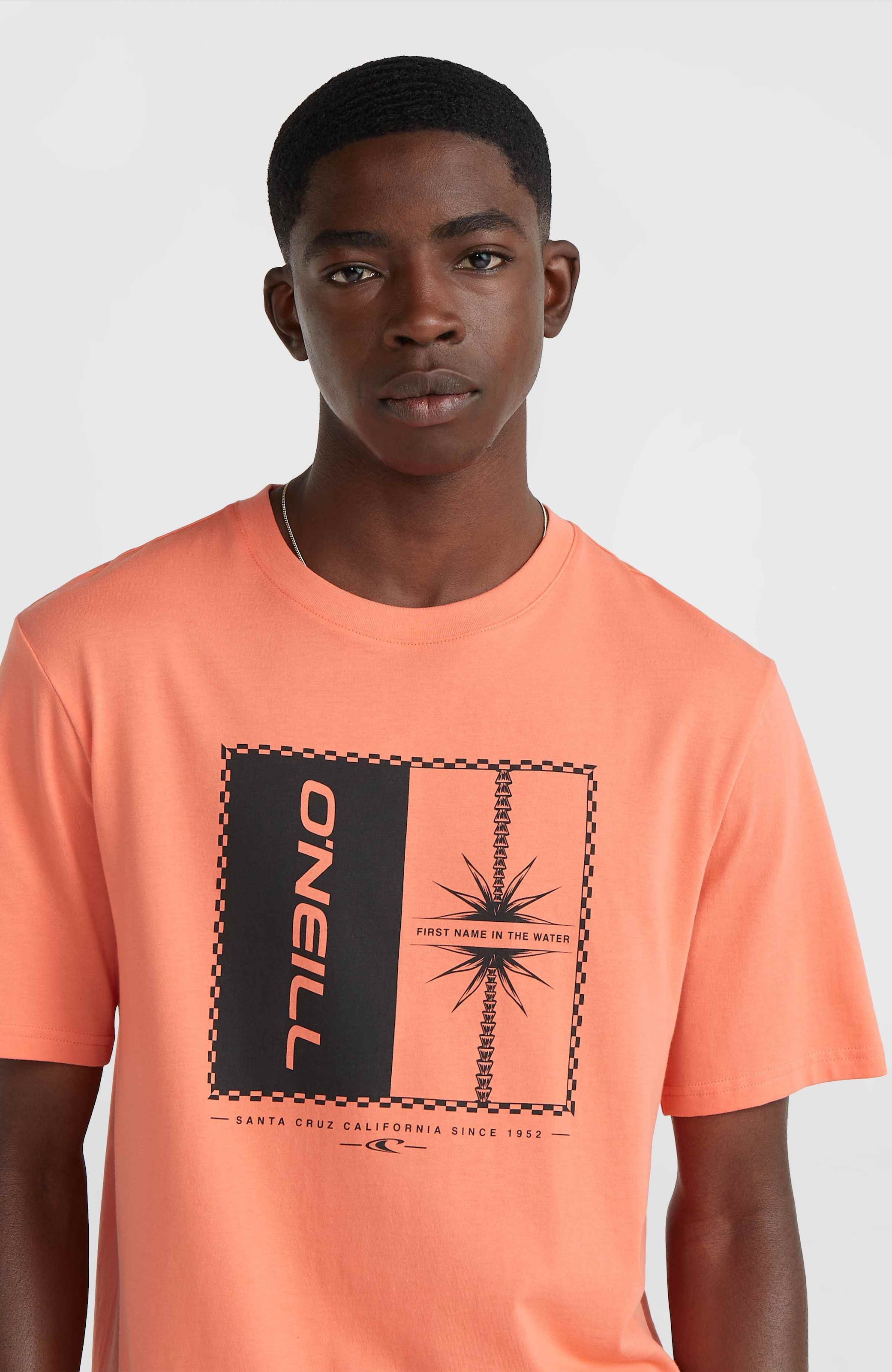 O'Neill T-Shirt »MIX & MATCH PALM T-SHIRT«, mit Rundhalsausschnitt