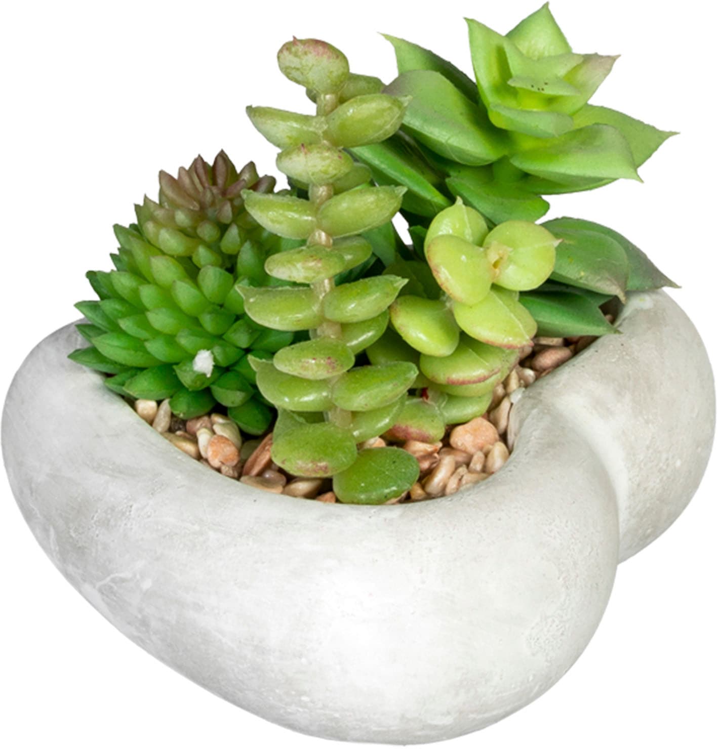 »Sukkulentenarrangement«, Creativ 3er green Zimmerpflanze Rechnung in Künstliche auf Zementschale, kaufen Set