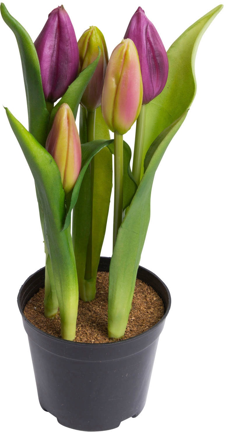 my home Kunstblume »Tulpenpflanze mit 5 Knospen«