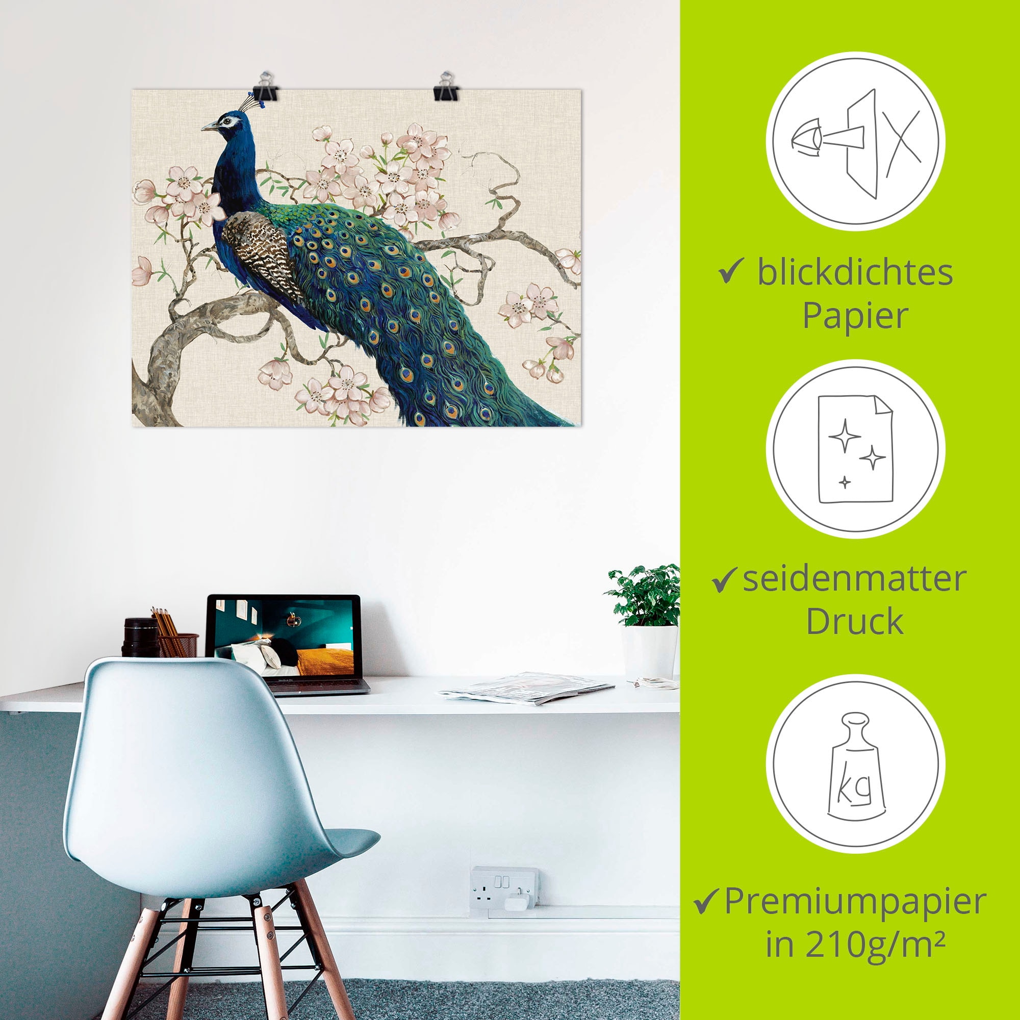 Artland Wandbild »Pfau & Blüten II« Vögel 1 Stk. tlg. als Leinwandbild, Poster in verschied. Größen