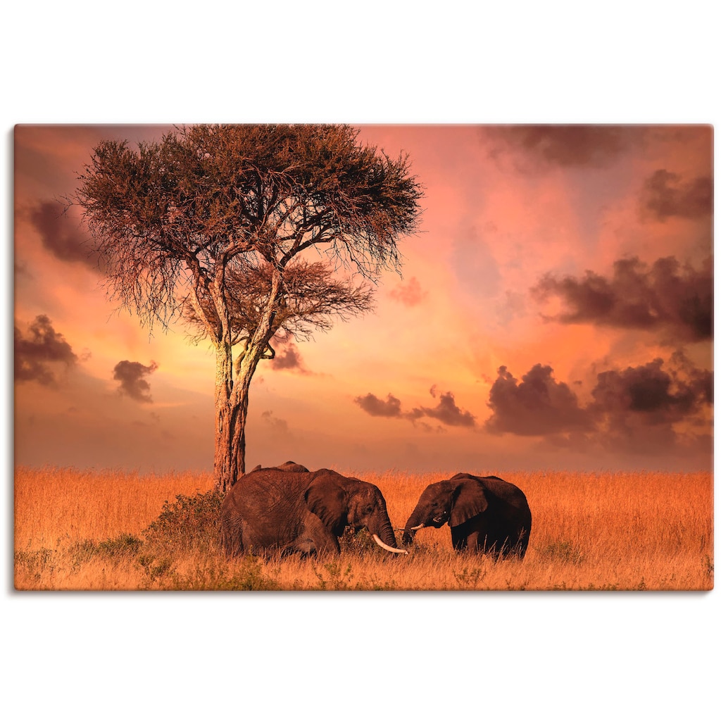 Artland Wandbild »Elefanten zum Abendessen«, Wildtiere, (1 St.)