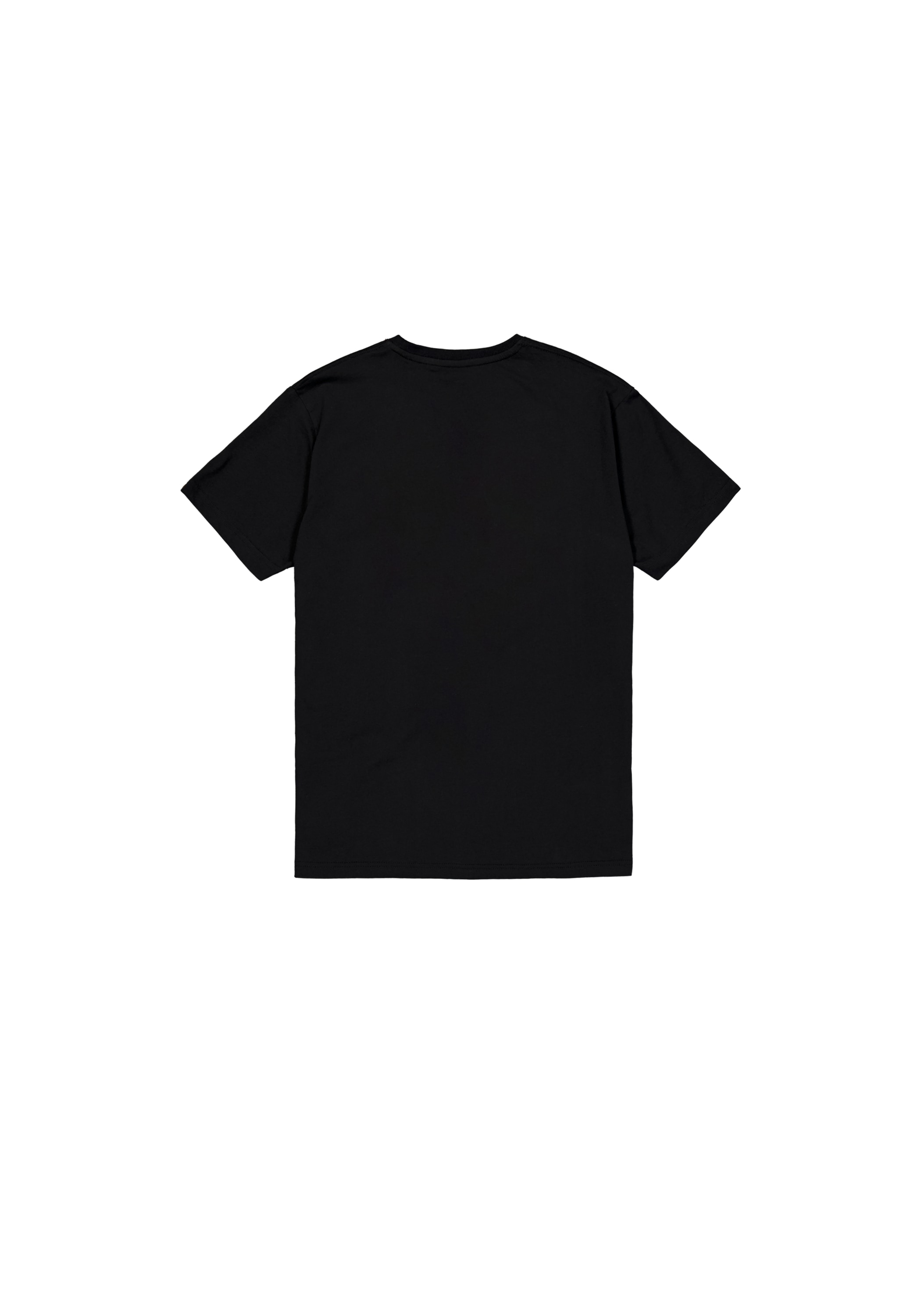 Alpha Industries T-Shirt »Basic Mid Logo TPU T-Shirt«